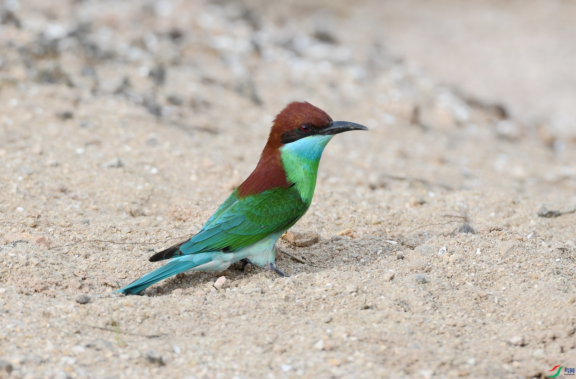 DSC_1289.jpg
