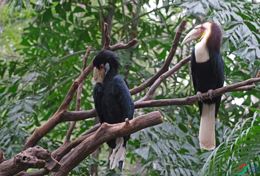 DSCF3676.1.jpg