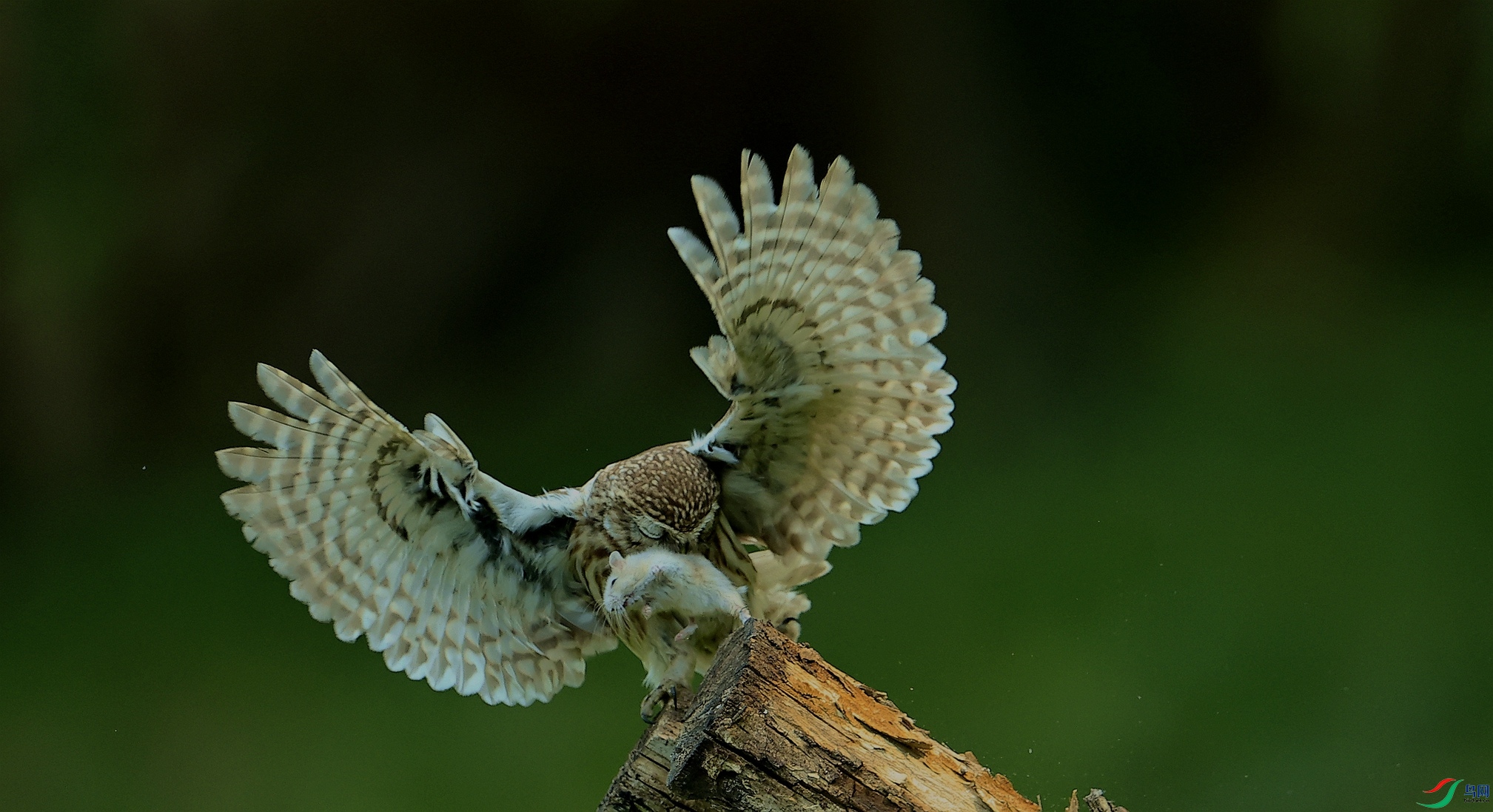 _S9A2847_����.jpg
