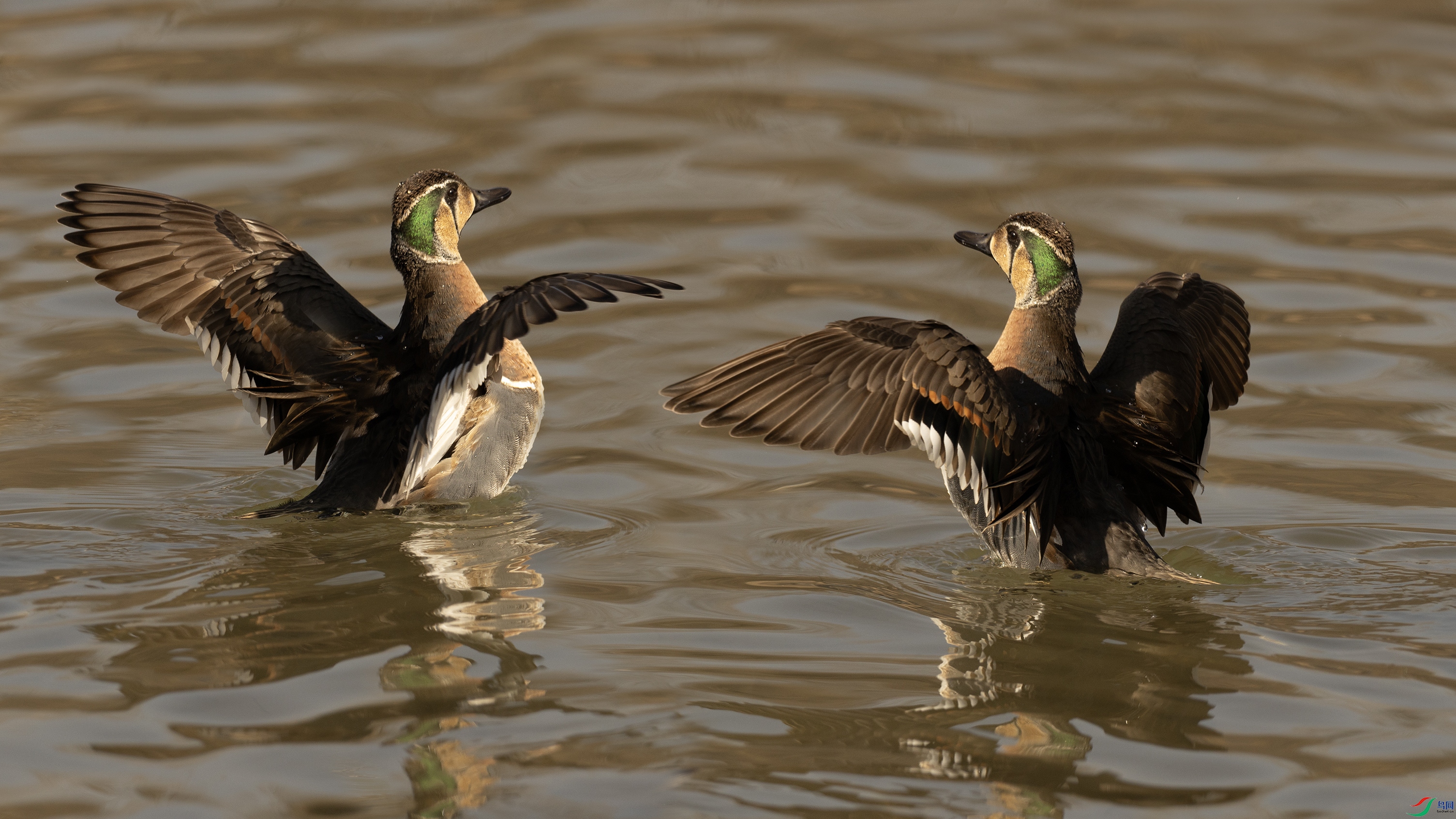 7X5A0659 ����999.jpg