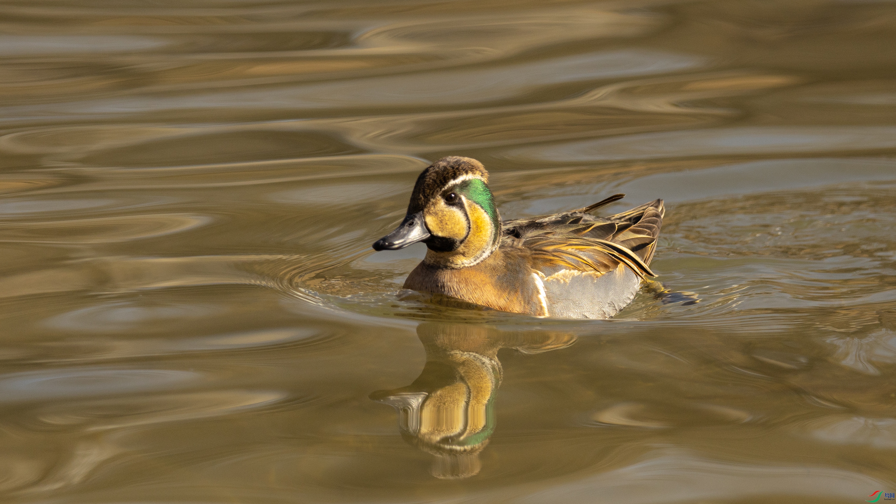 7X5A0584 ��999.jpg