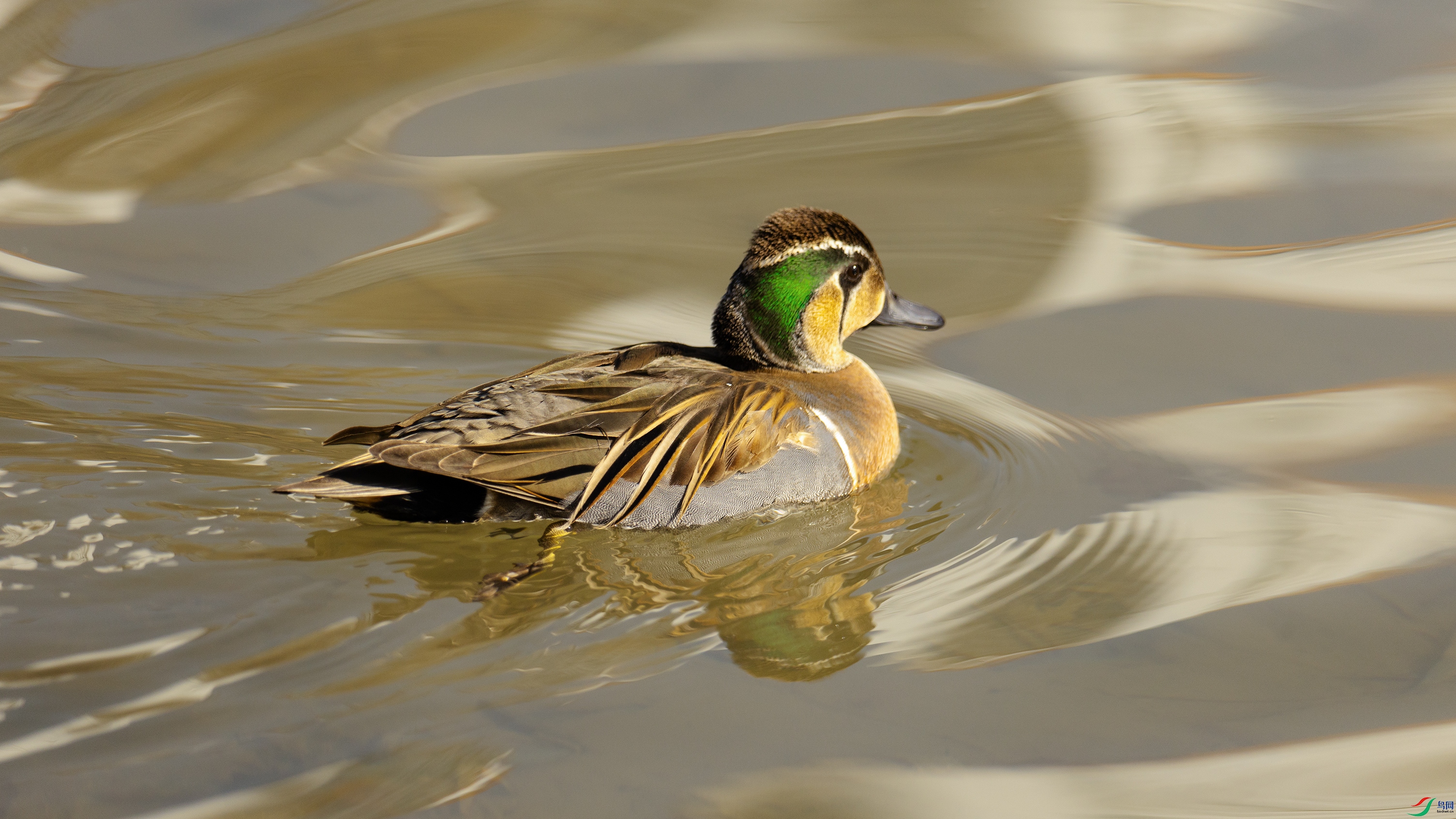 7X5A0608 ����99999.jpg