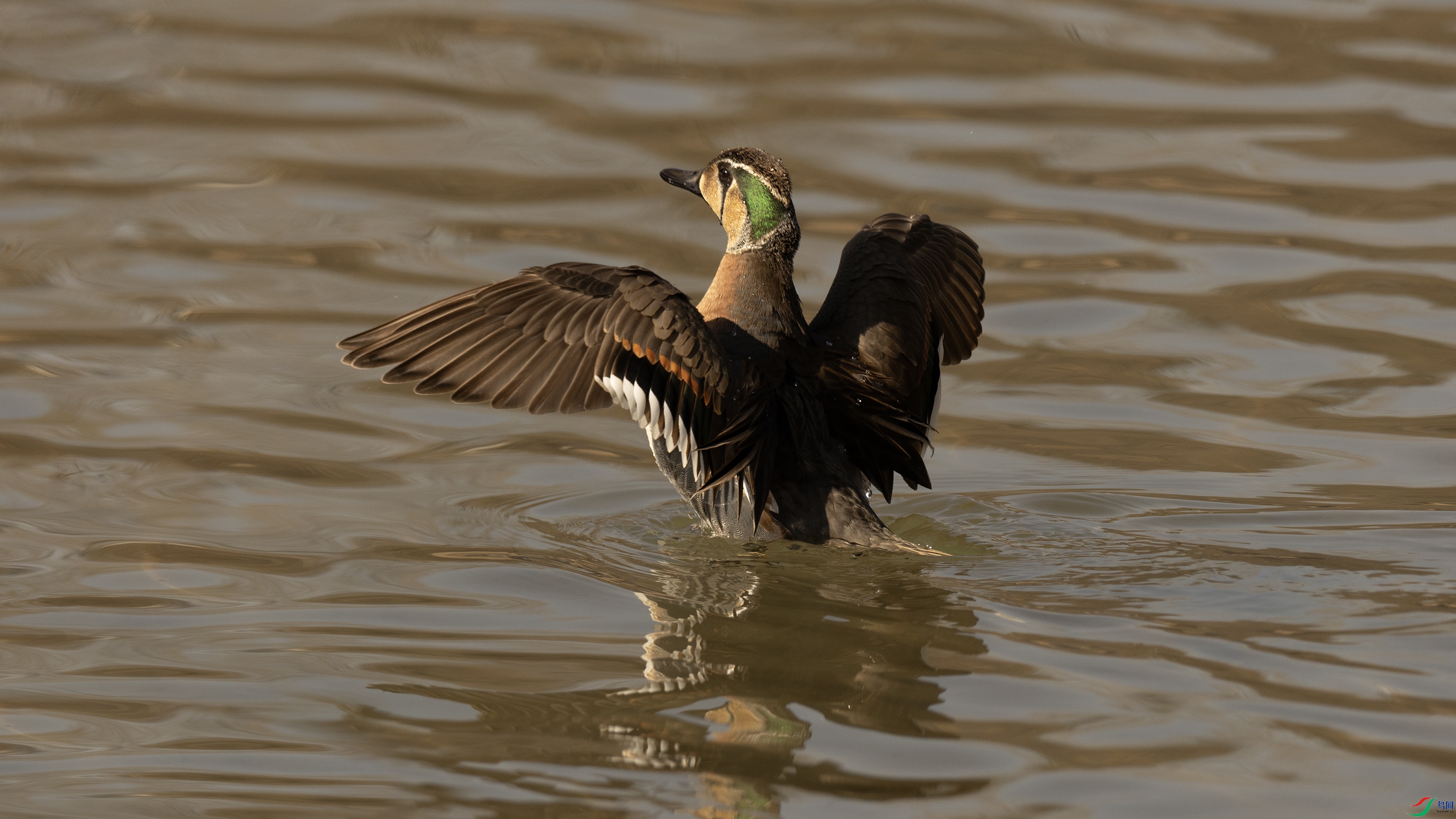 7X5A0638 ����.jpg