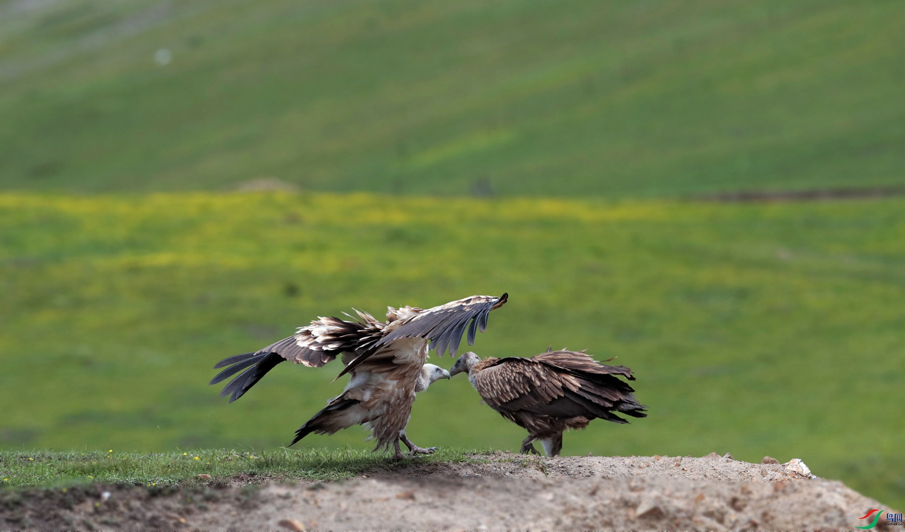 _E2I1952_����.jpg