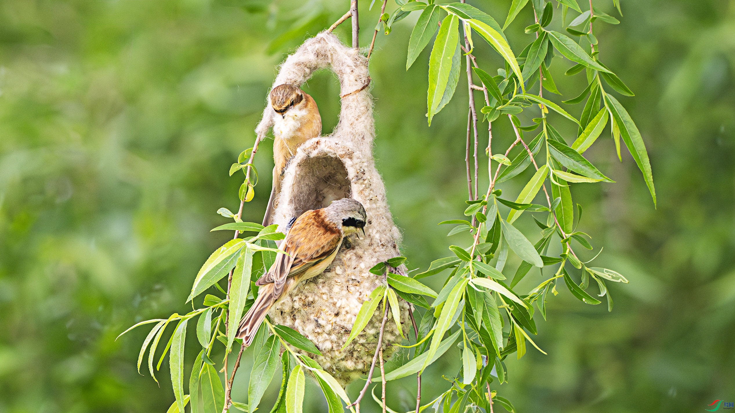 5349 ����.jpg