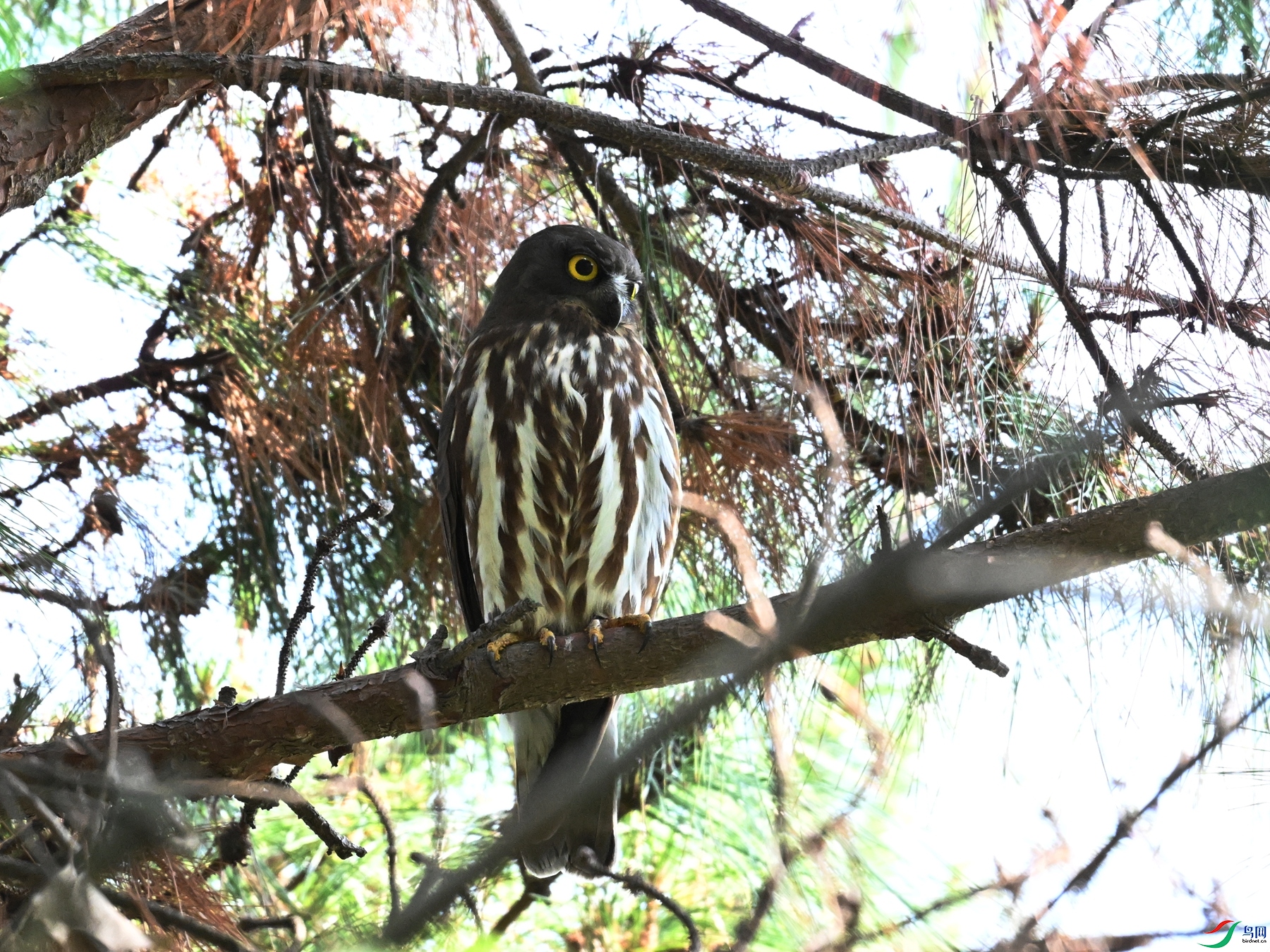 DSC_3372.JPG