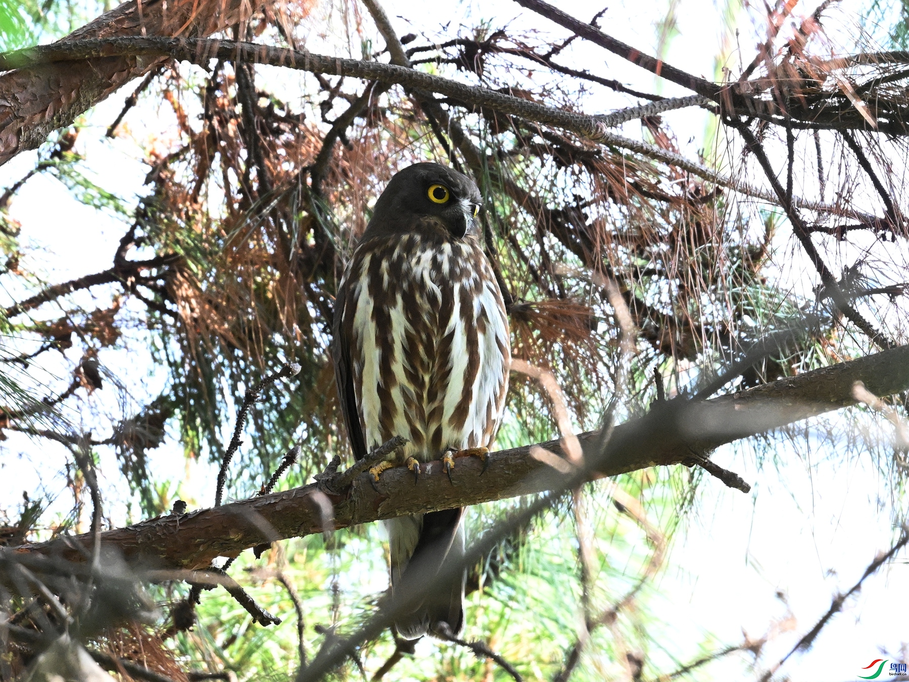 DSC_3374.JPG