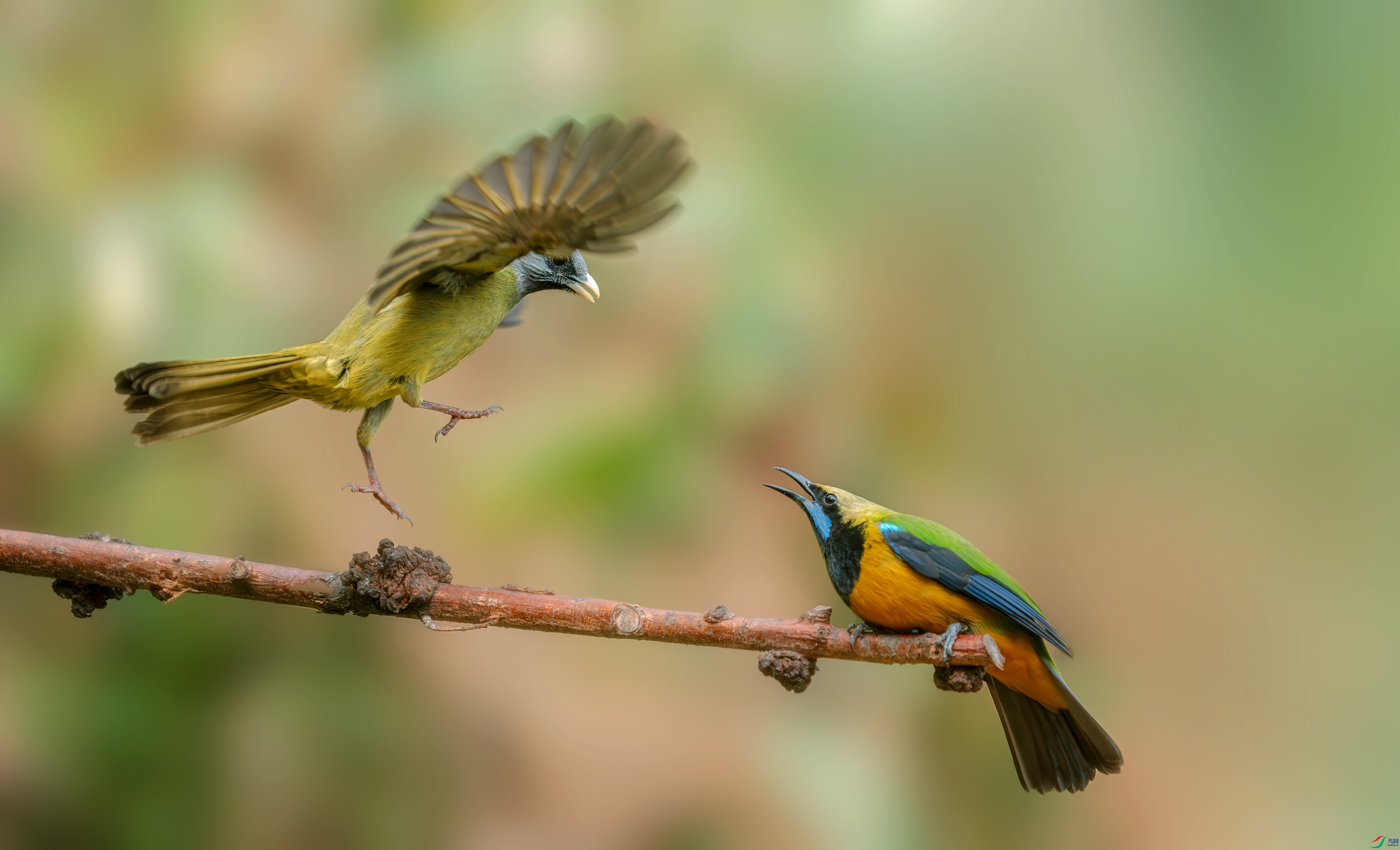 _DSC8964 ����.jpg