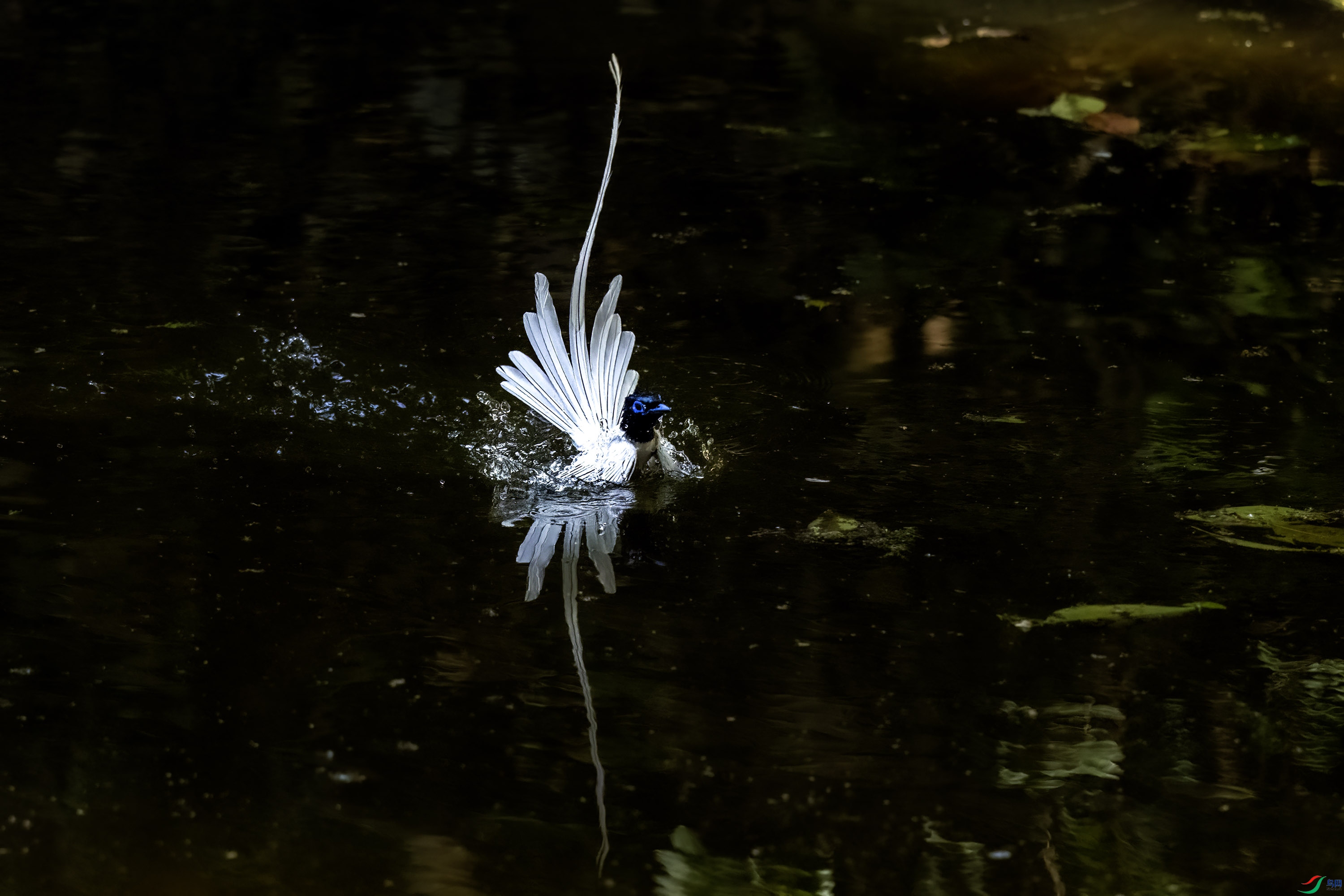 DSC_2284.jpg
