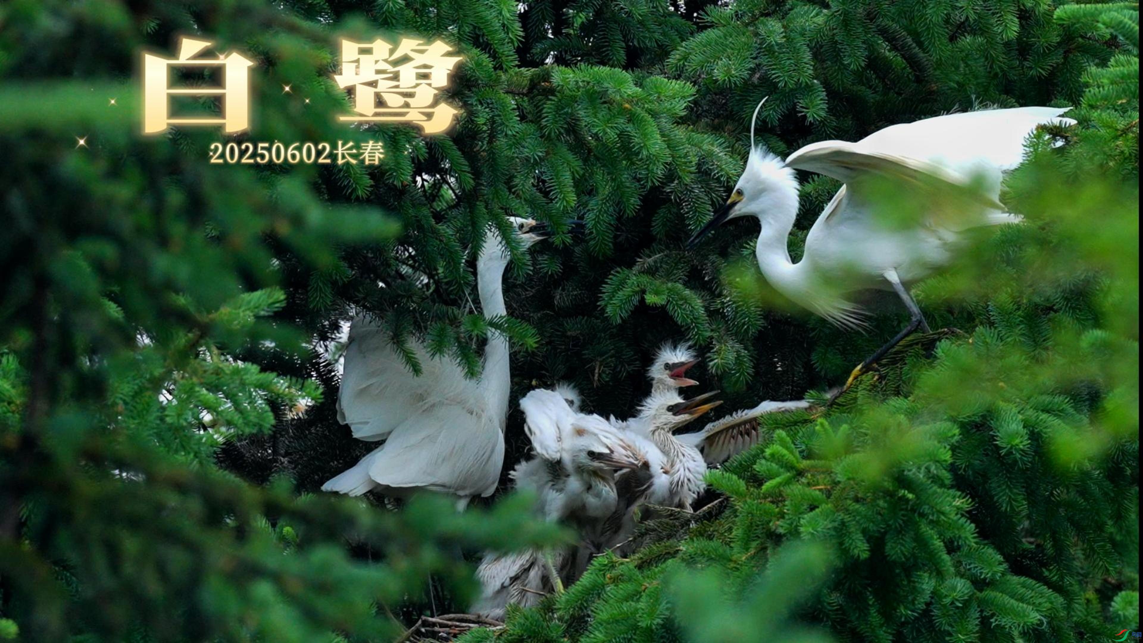 6��2�� ����-����.jpg