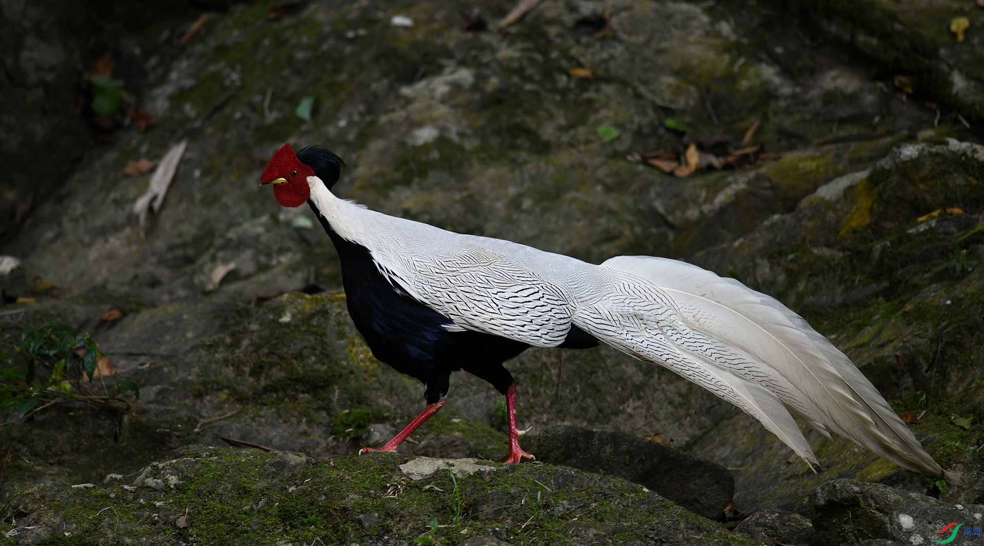 DSC_6631.jpg