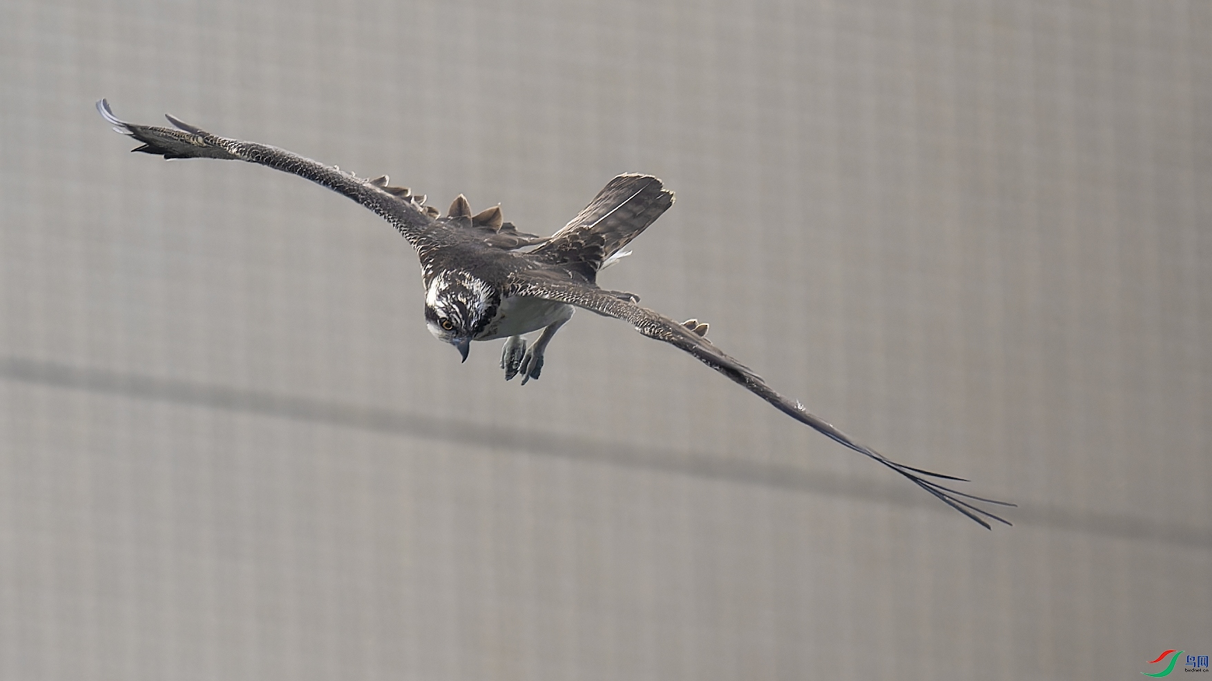 DSC_4955_DxO.jpg