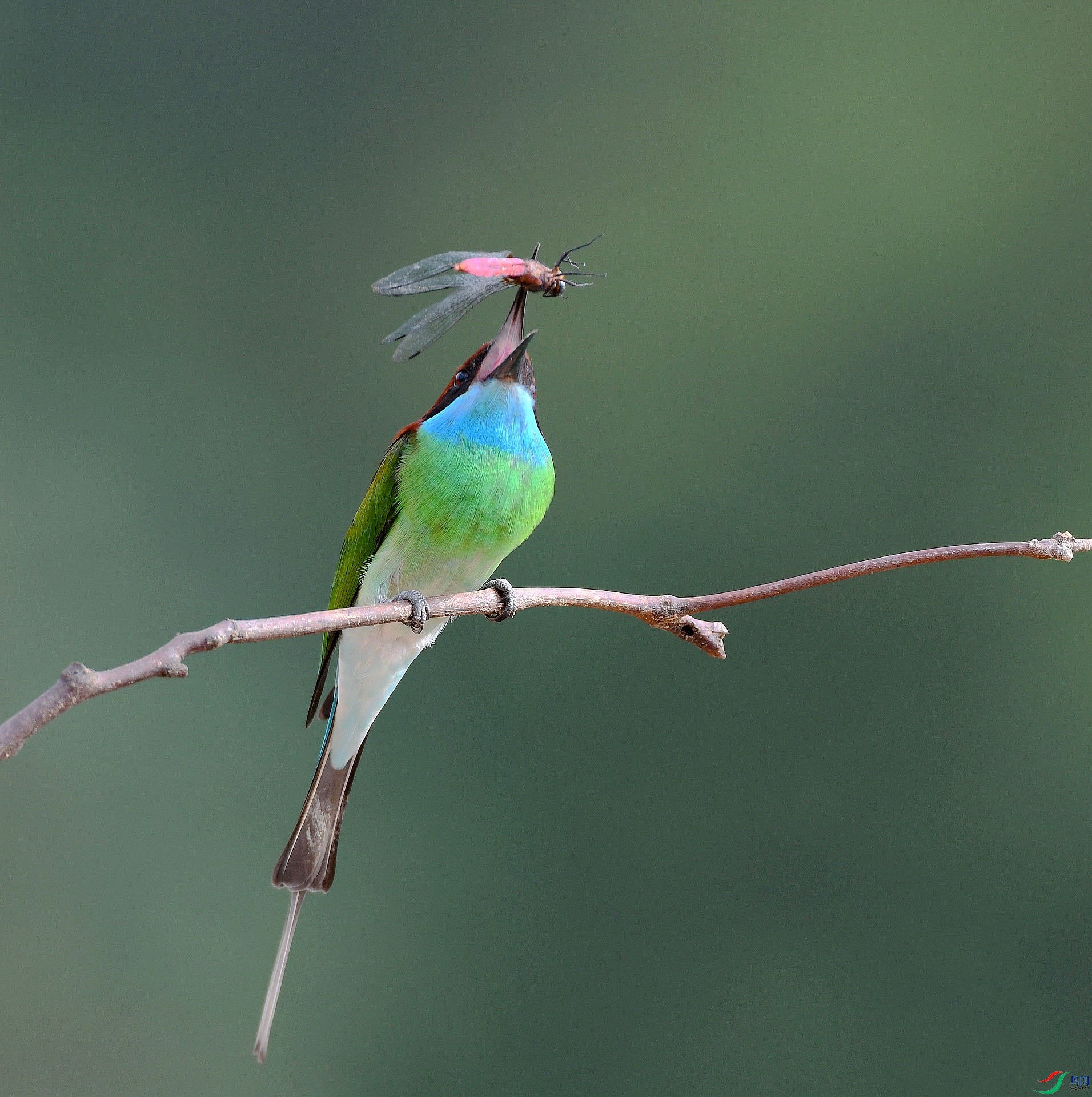 DSC_2176.jpg