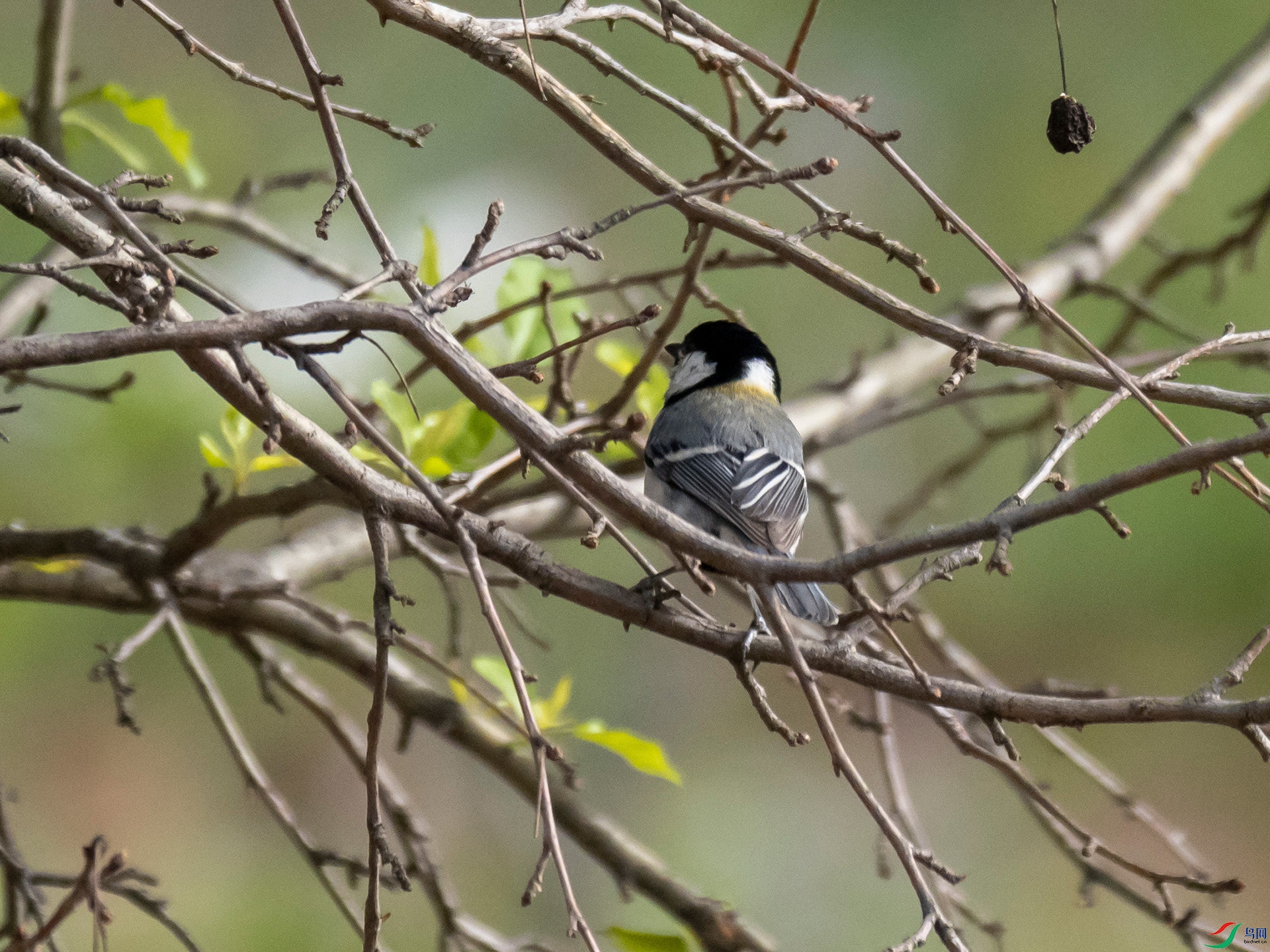 P4250557.jpg