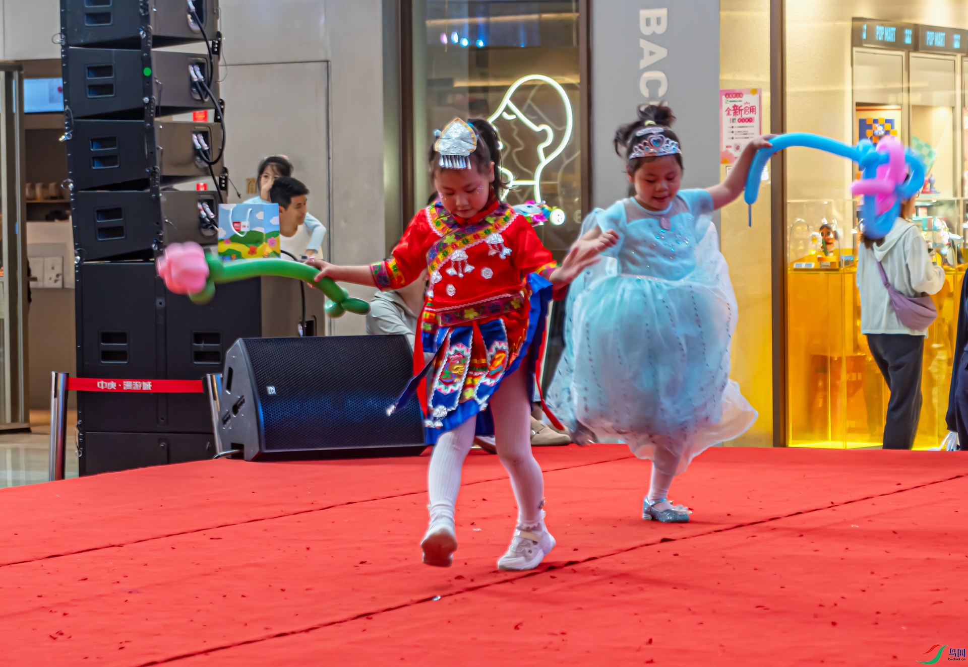 DSC03874-11.jpg