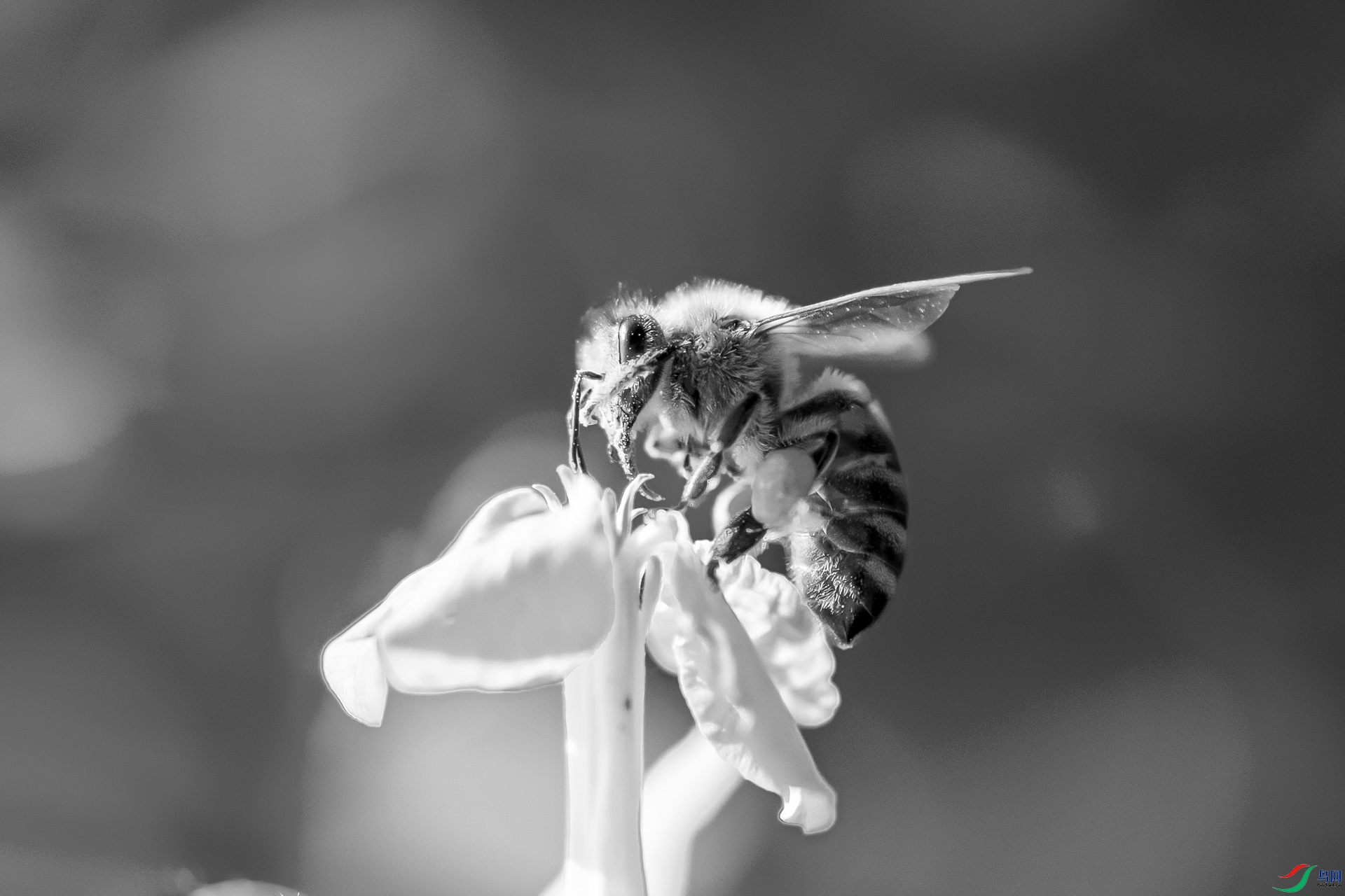 _DSC84750.jpg