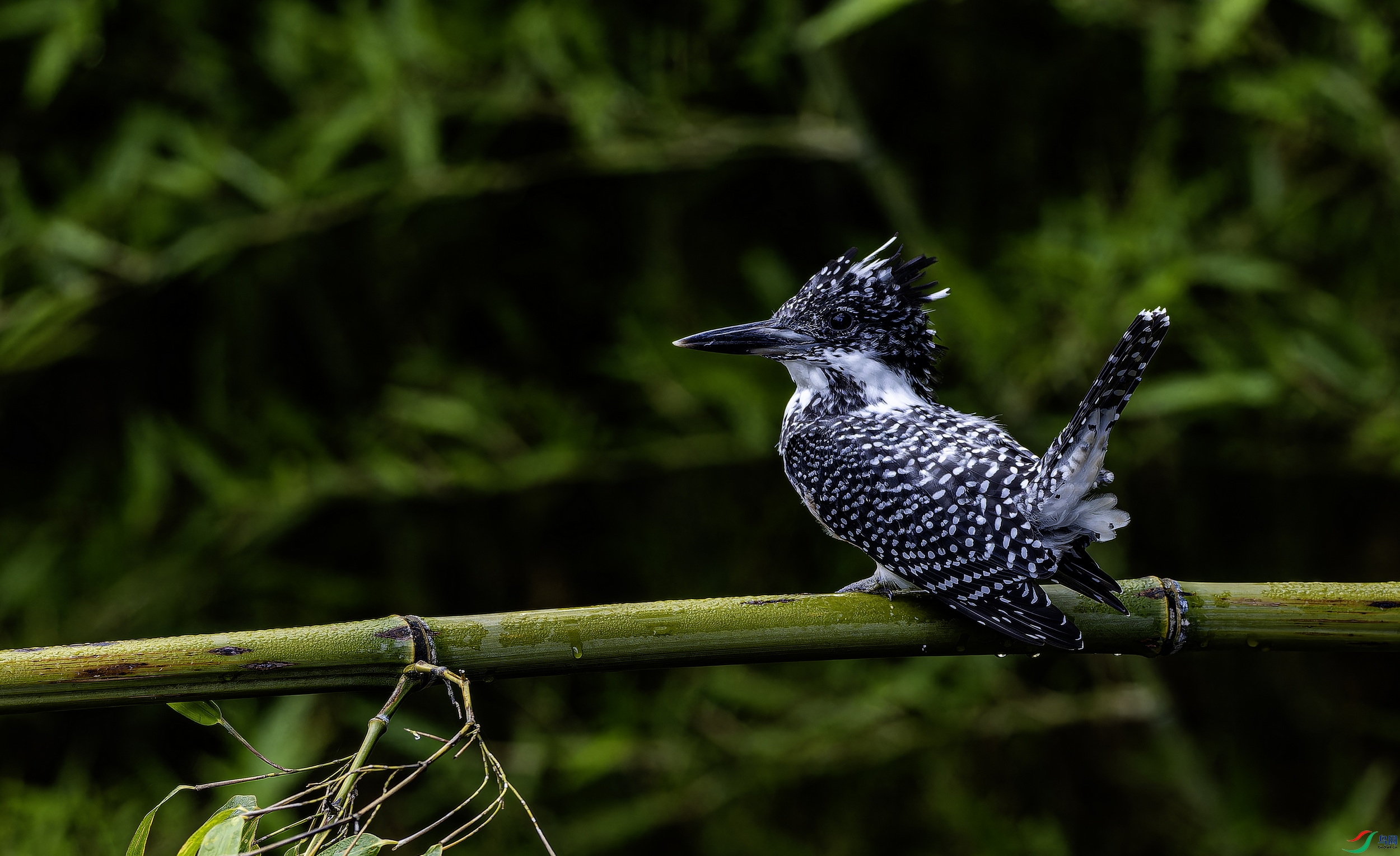 ���㹷 (2)-1.jpg