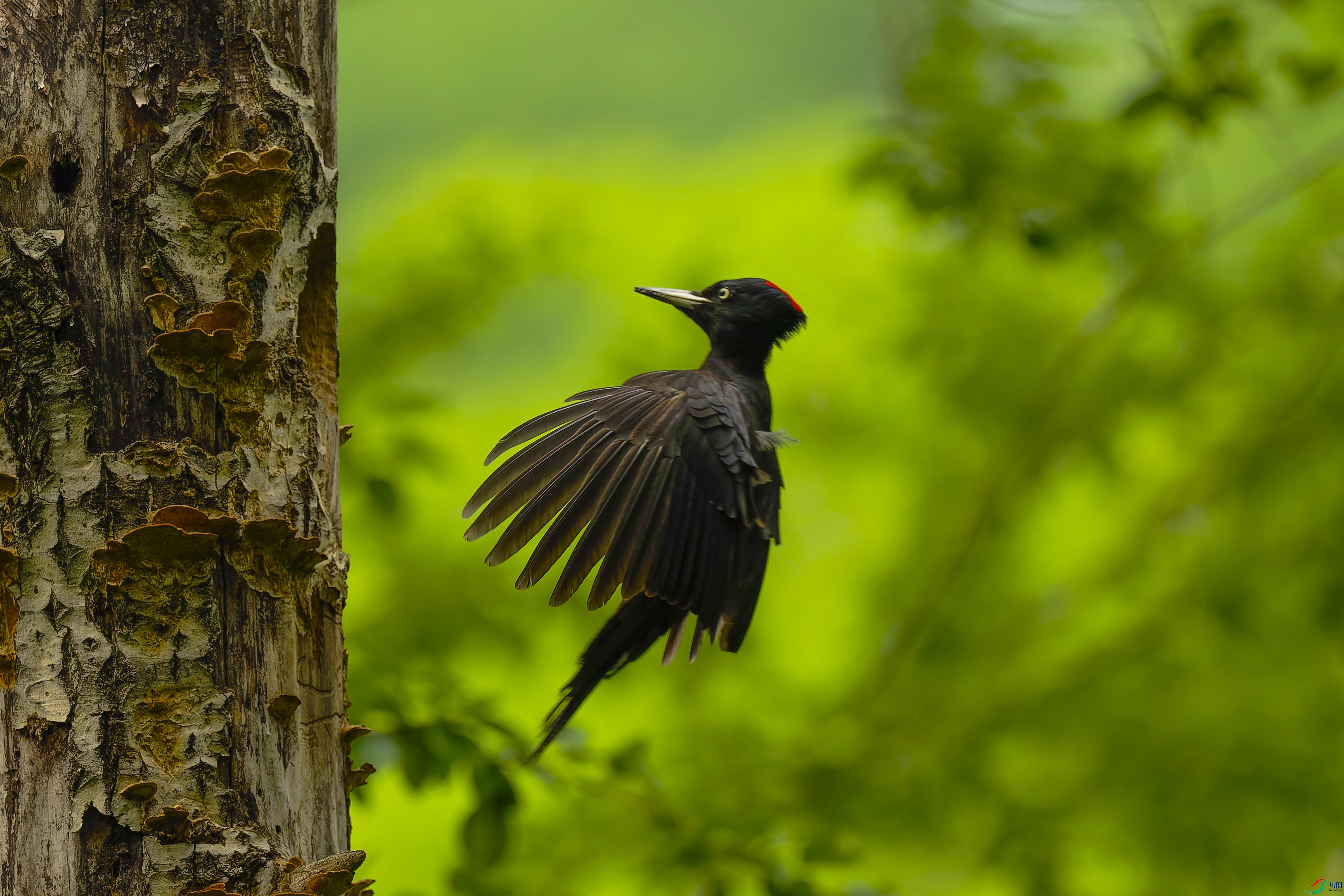 20250602-_DSC5650-NEF.jpg