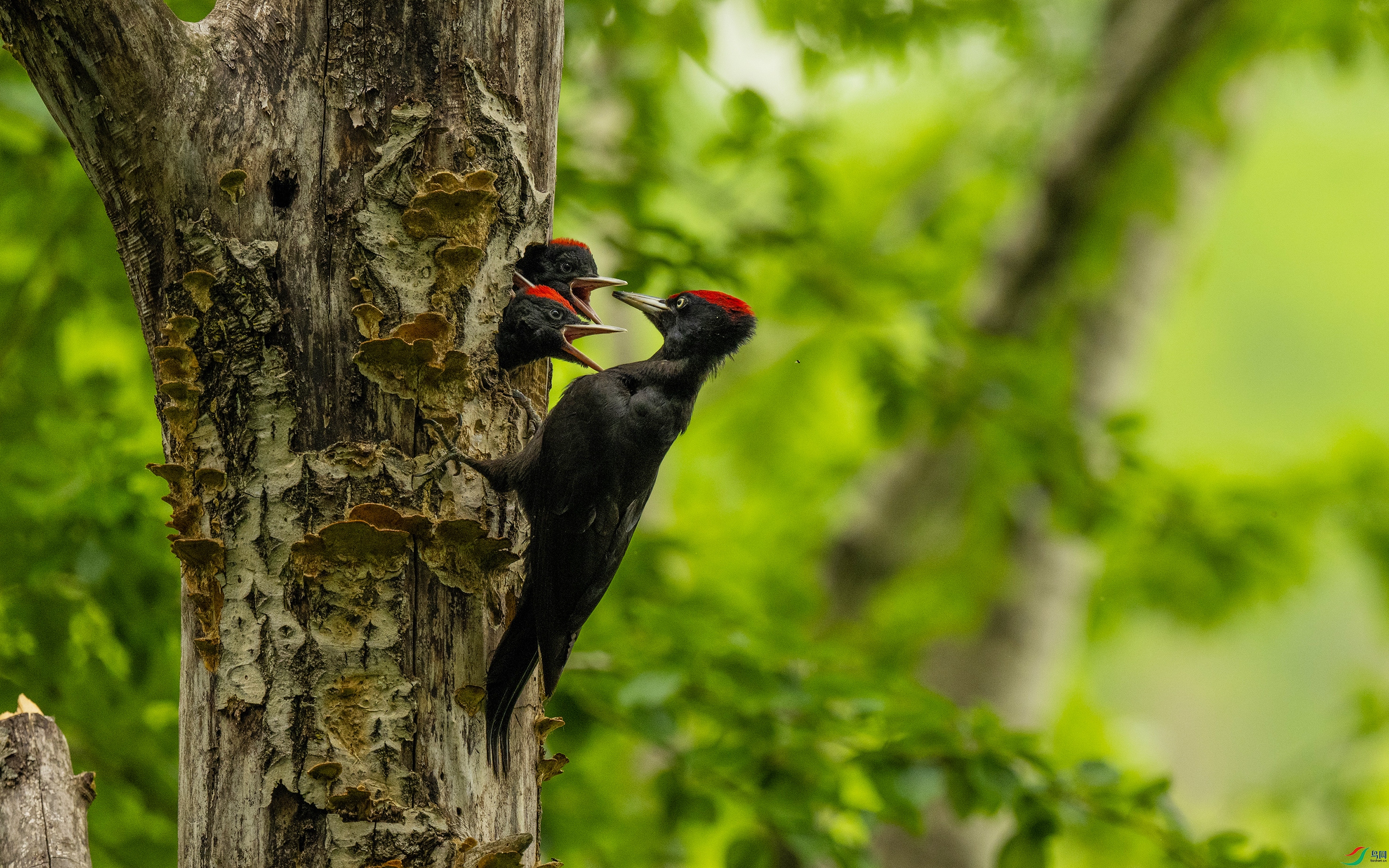 _DSC4374.jpg