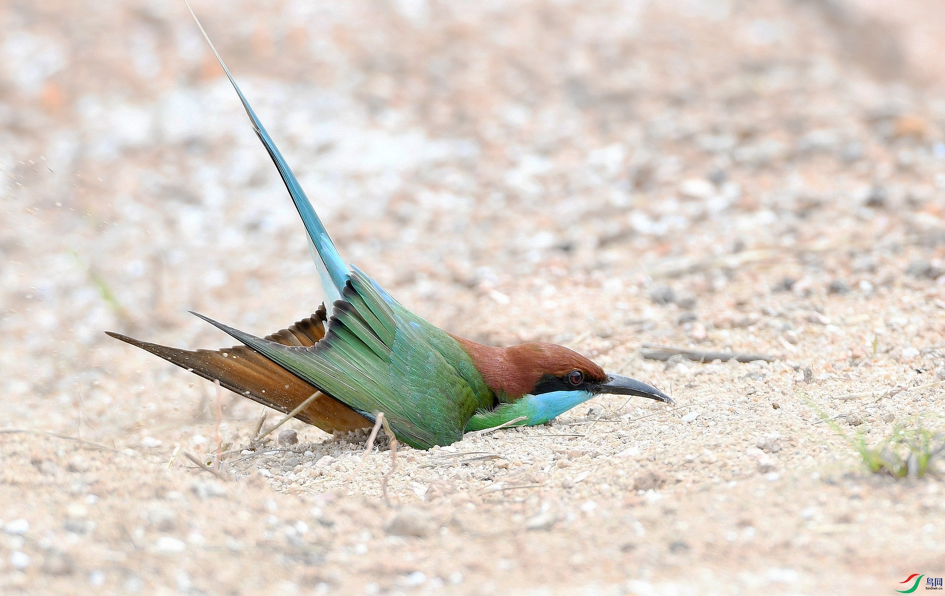 DSC_3050.jpg