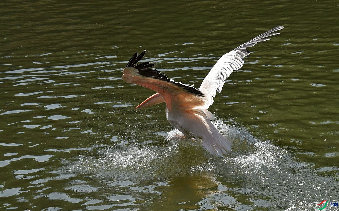 711 (14)_����.jpg