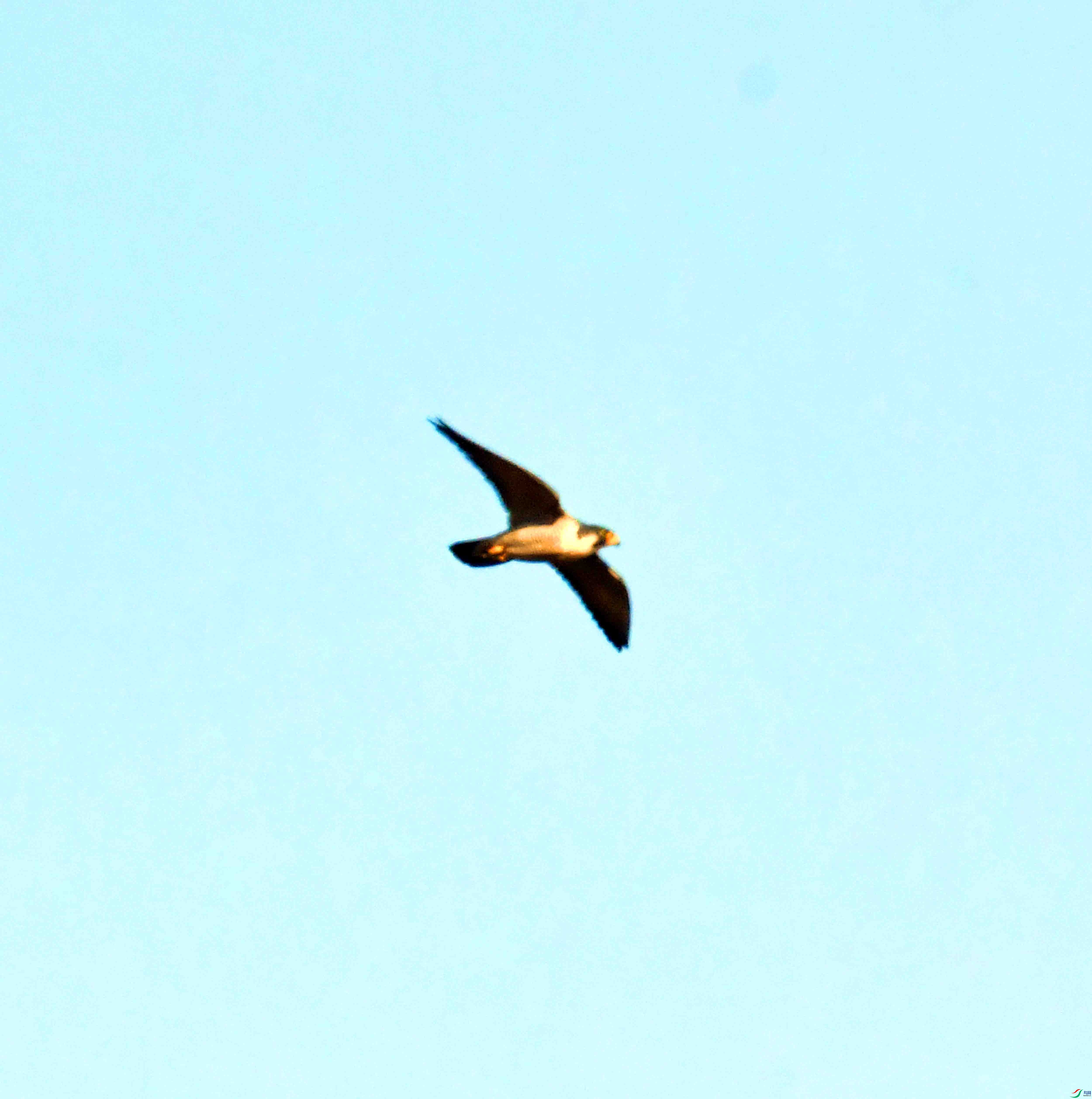 DSC_5428.JPG