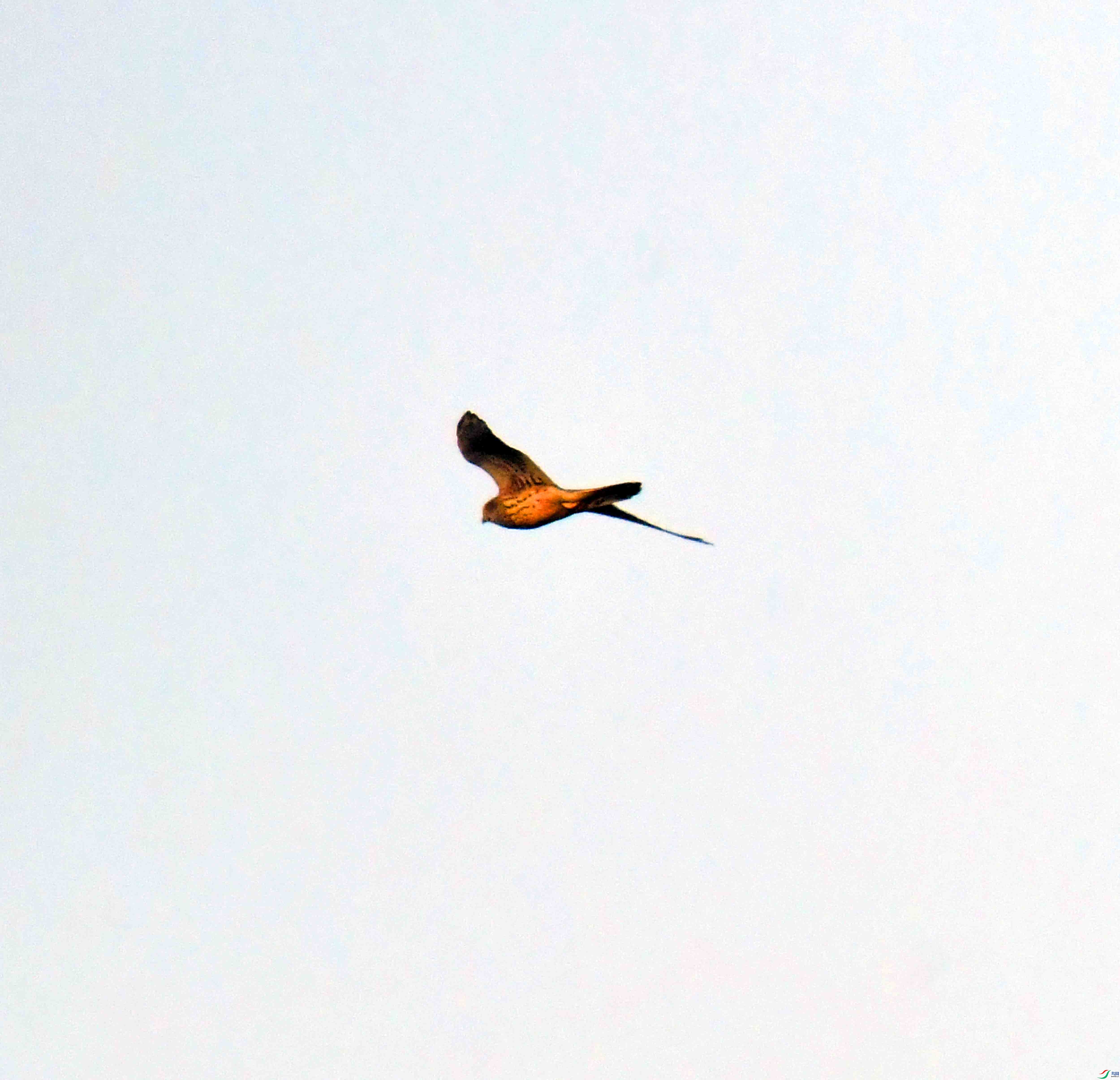 DSC_5540.JPG