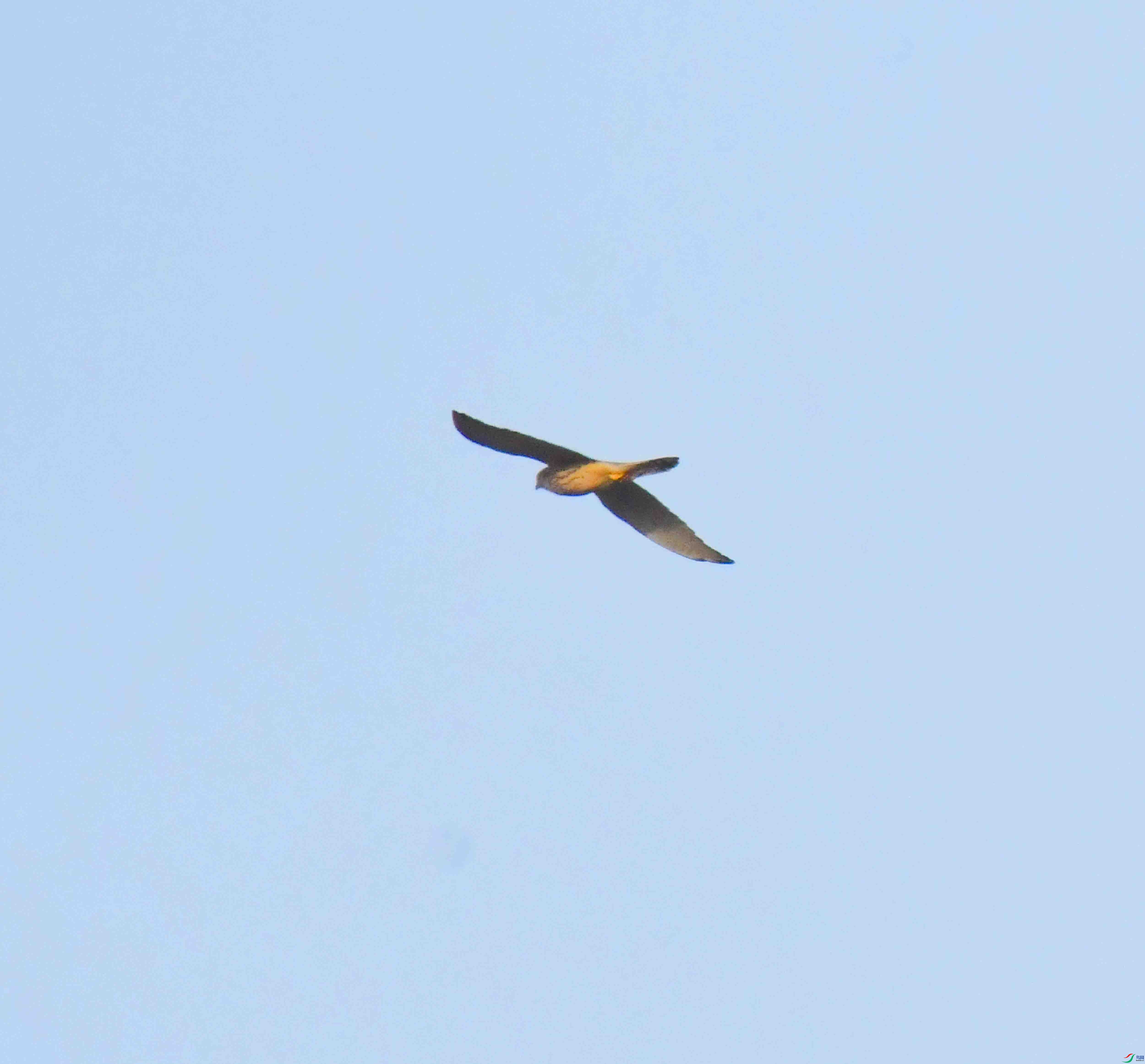 DSC_5539.JPG