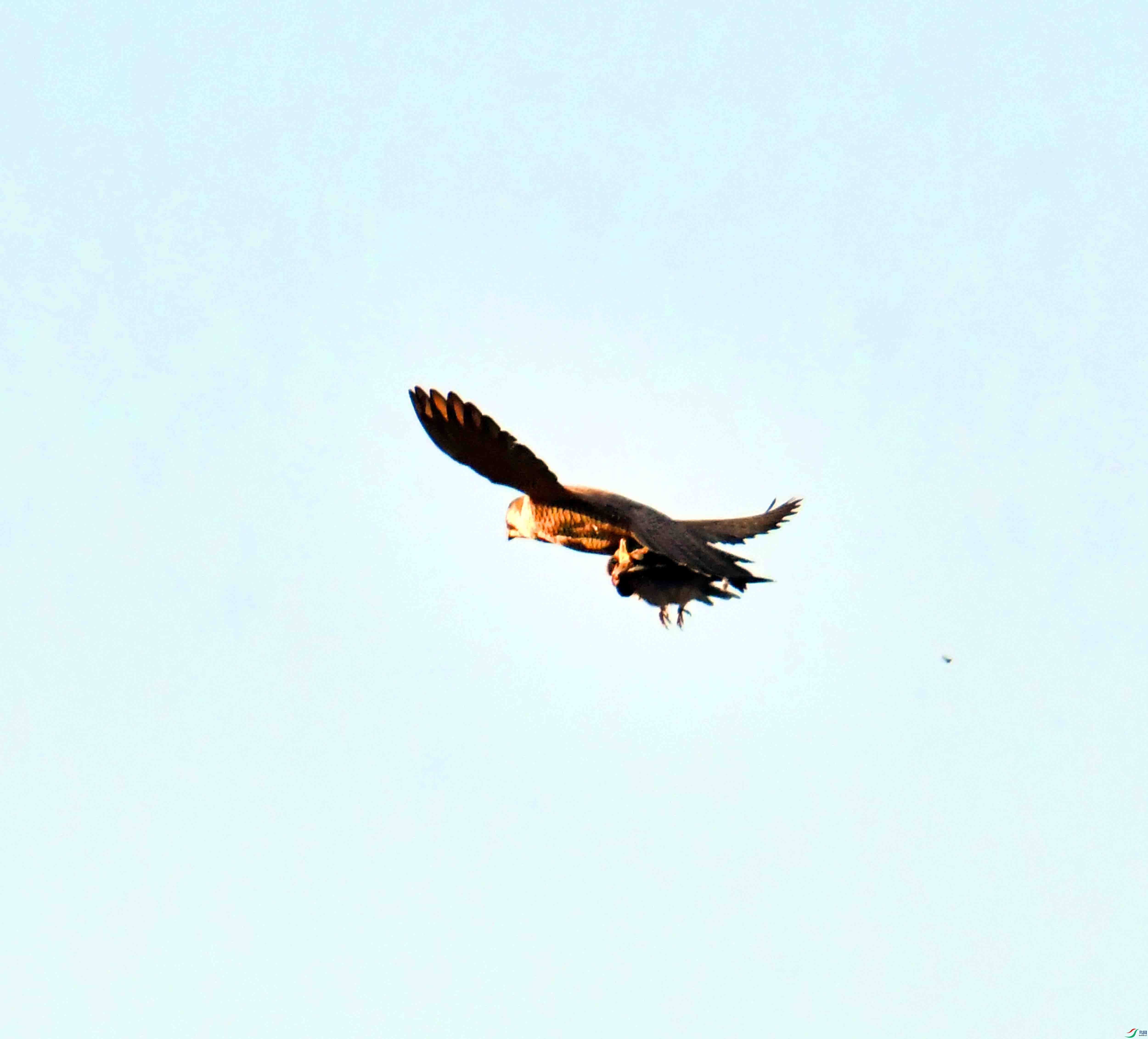 DSC_6382.JPG