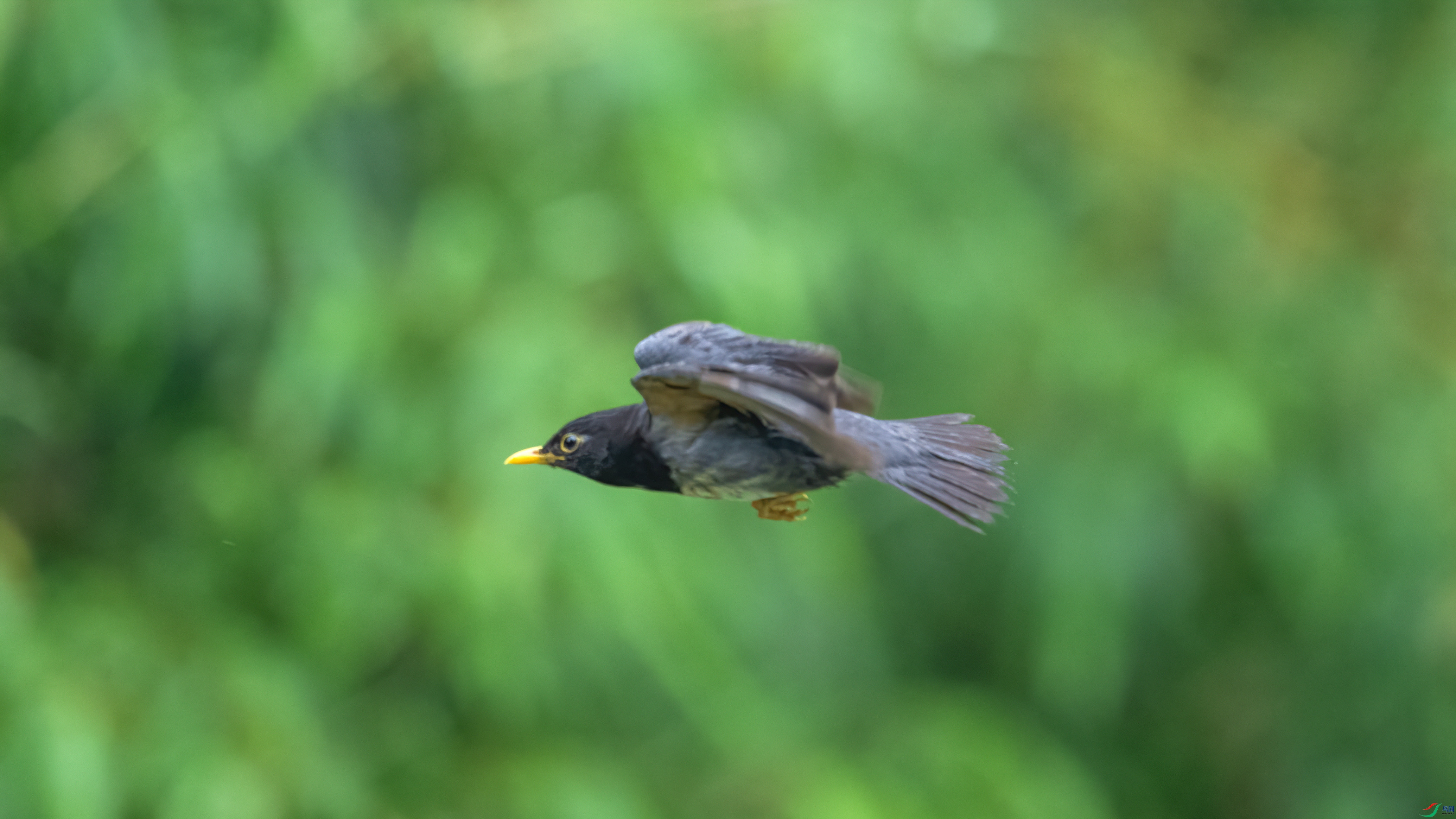 DSC_6914.jpg