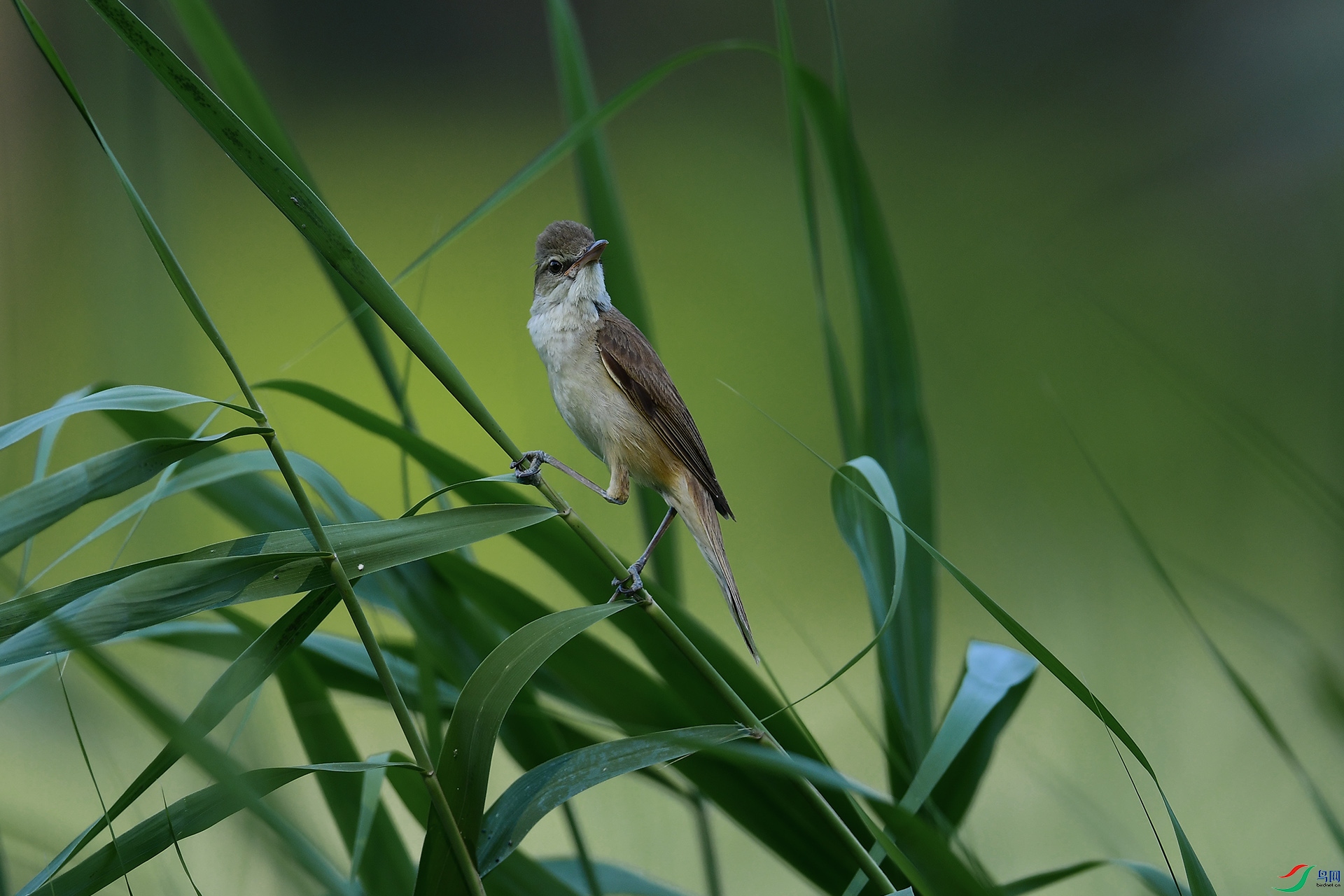 XQD_6289 ����.jpg