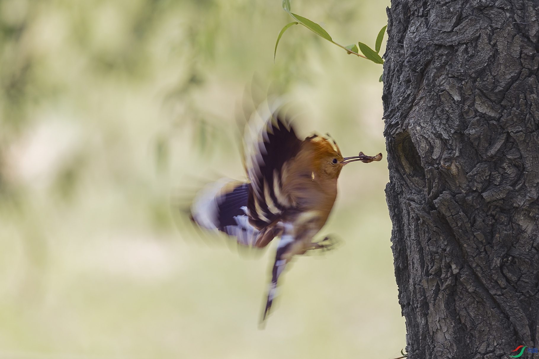 �����������ʤ����������̣��ǳ���ܰ������