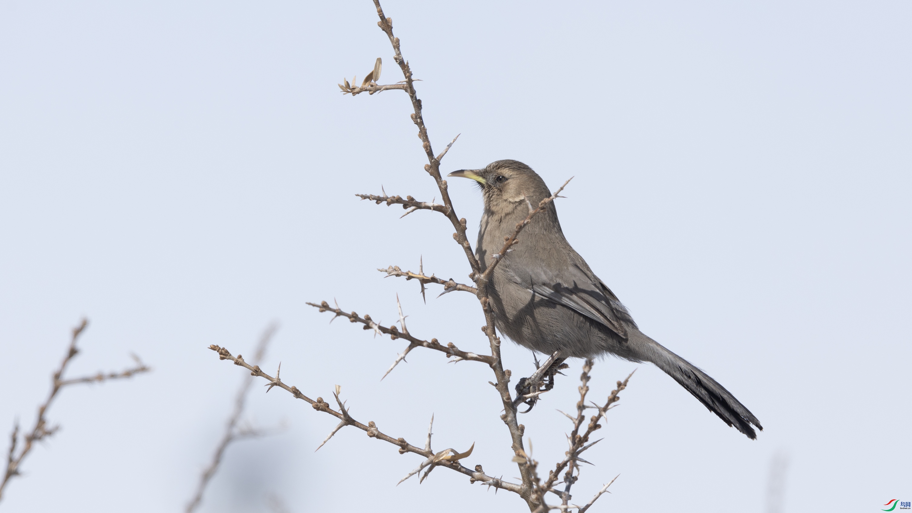 _O7A2356 ����44444.jpg