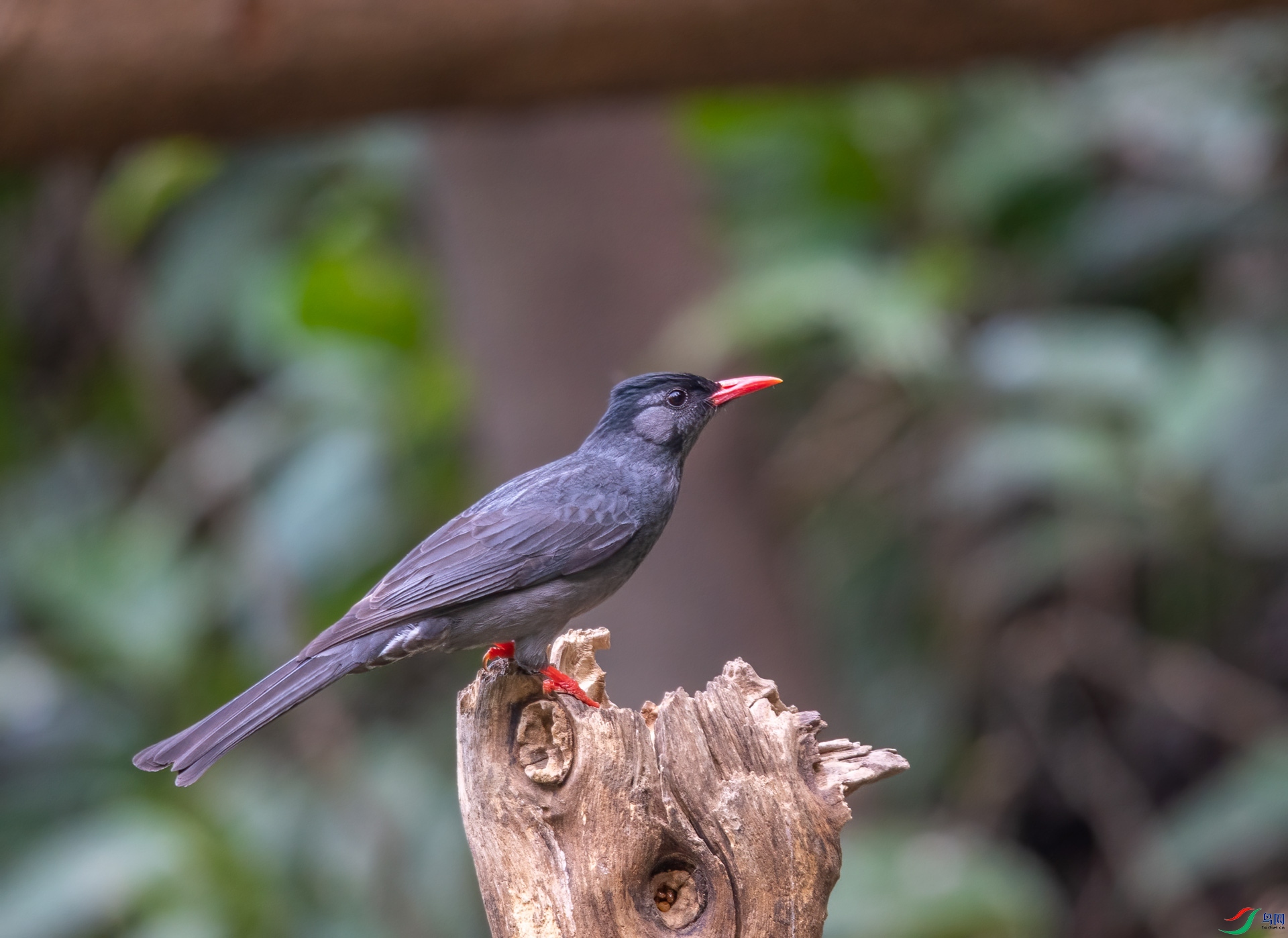 DSC_8166.jpg