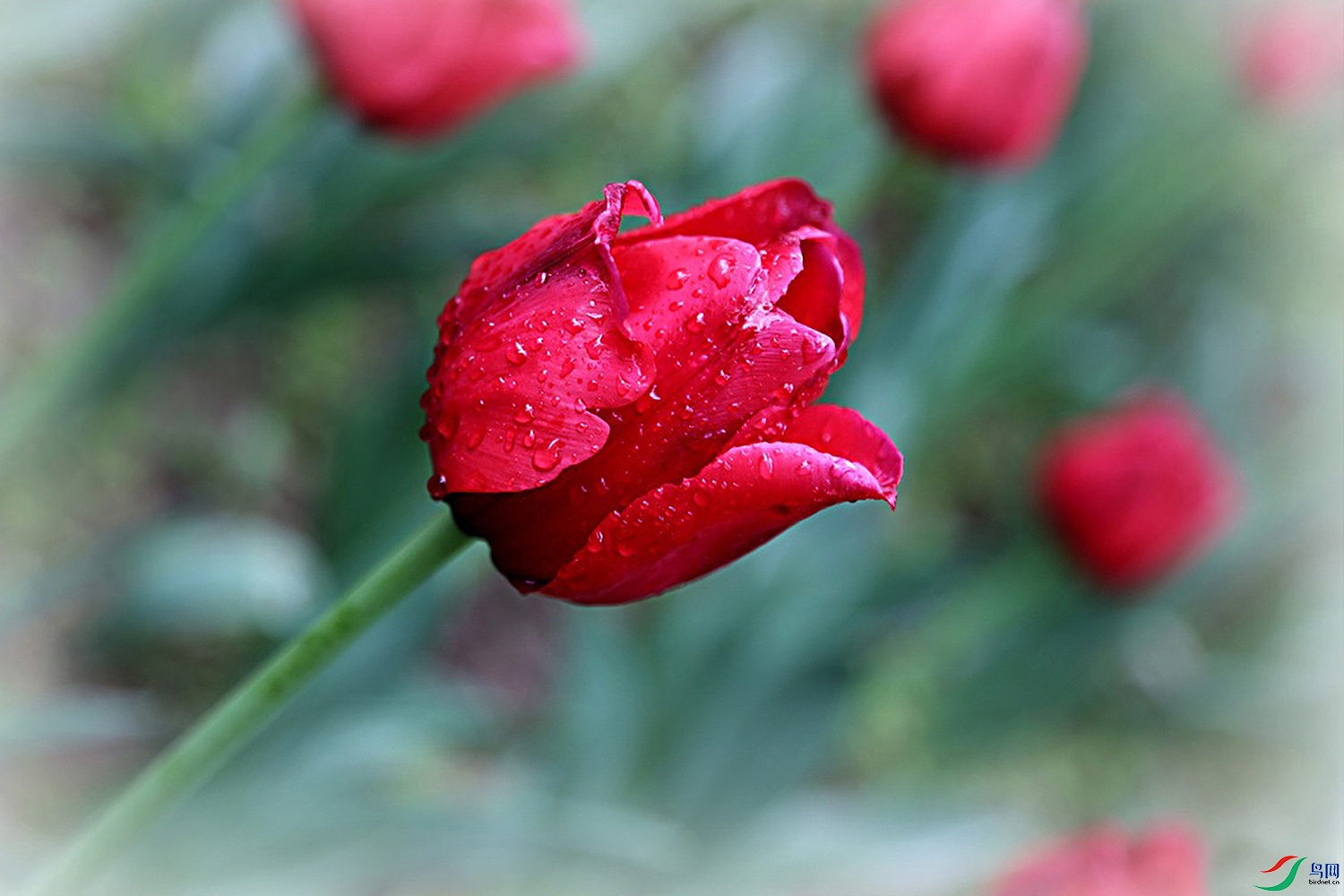 IMG_2600.jpg