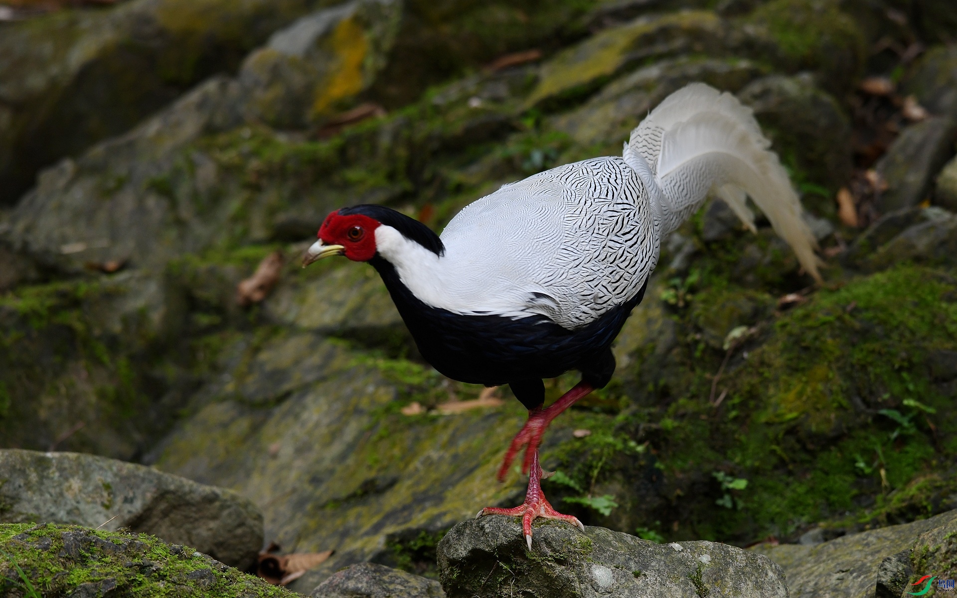 DSC_3738.jpg
