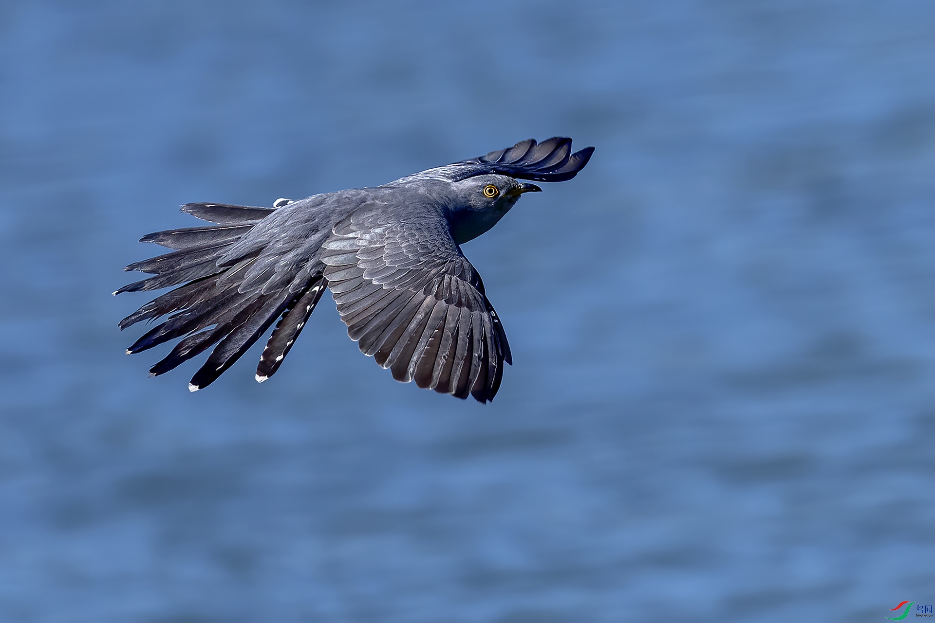 DSC_9484-.jpg