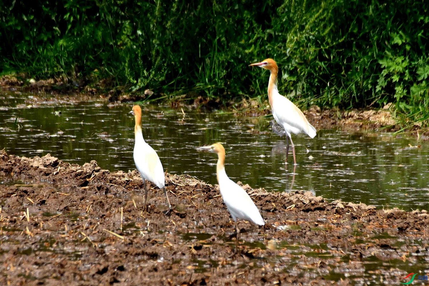 DSC_8022.JPG