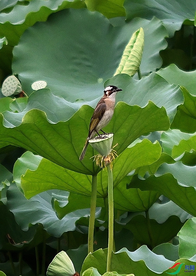 001.jpg
