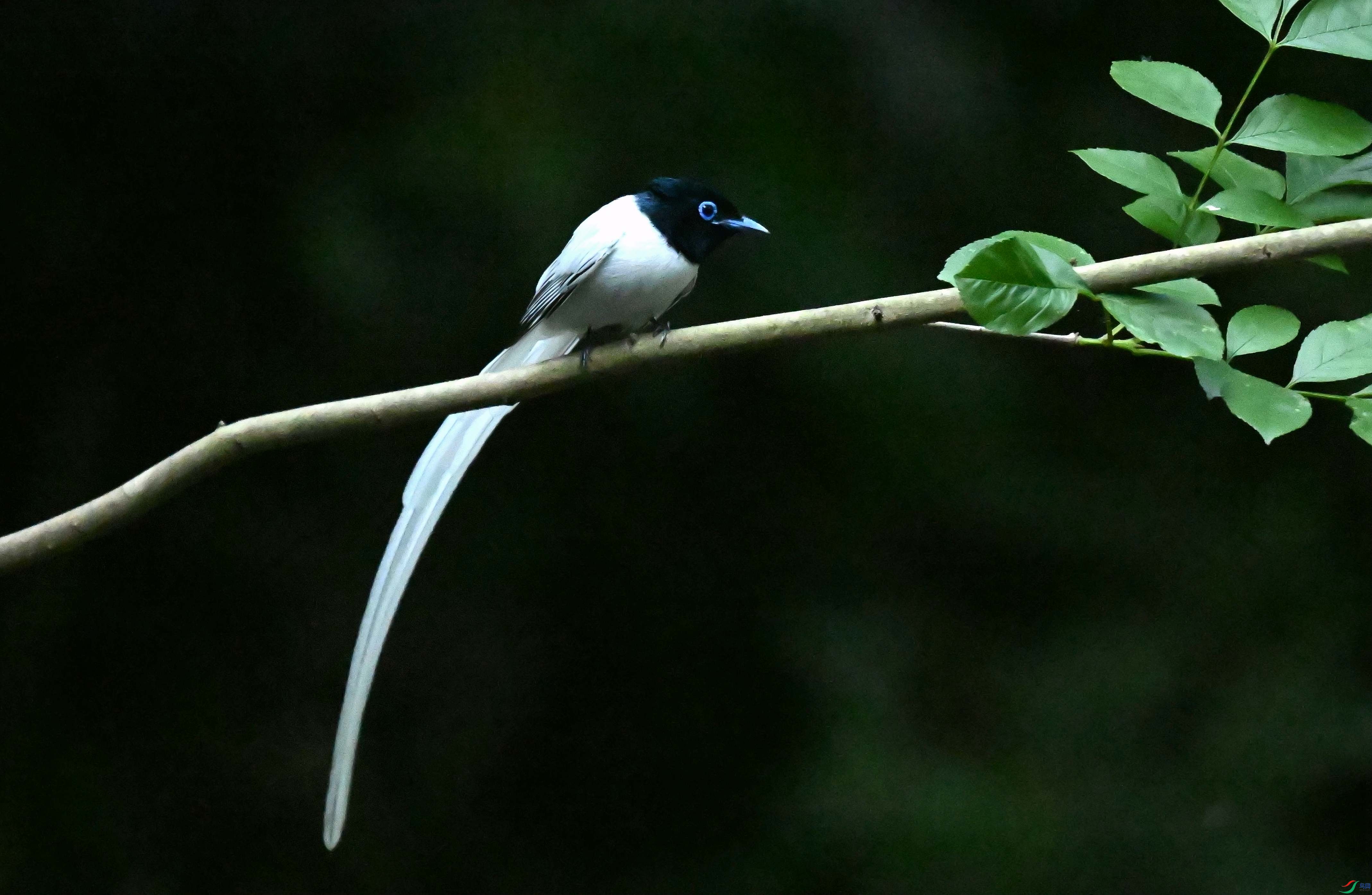DSC_2162.jpg