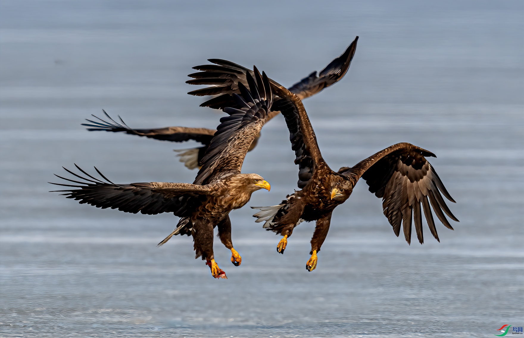 _DSC3109-11.jpg