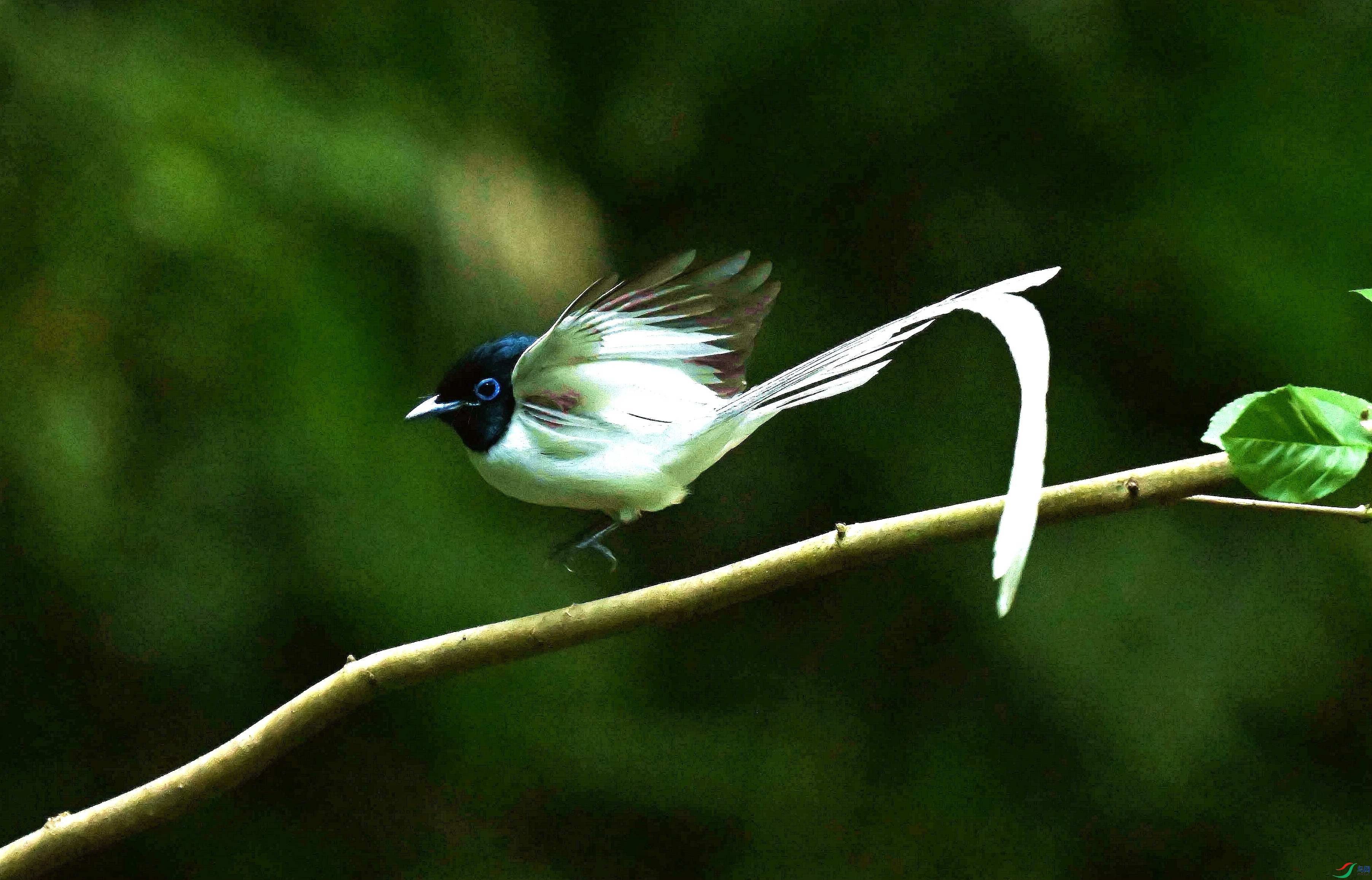 DSC_3001.jpg