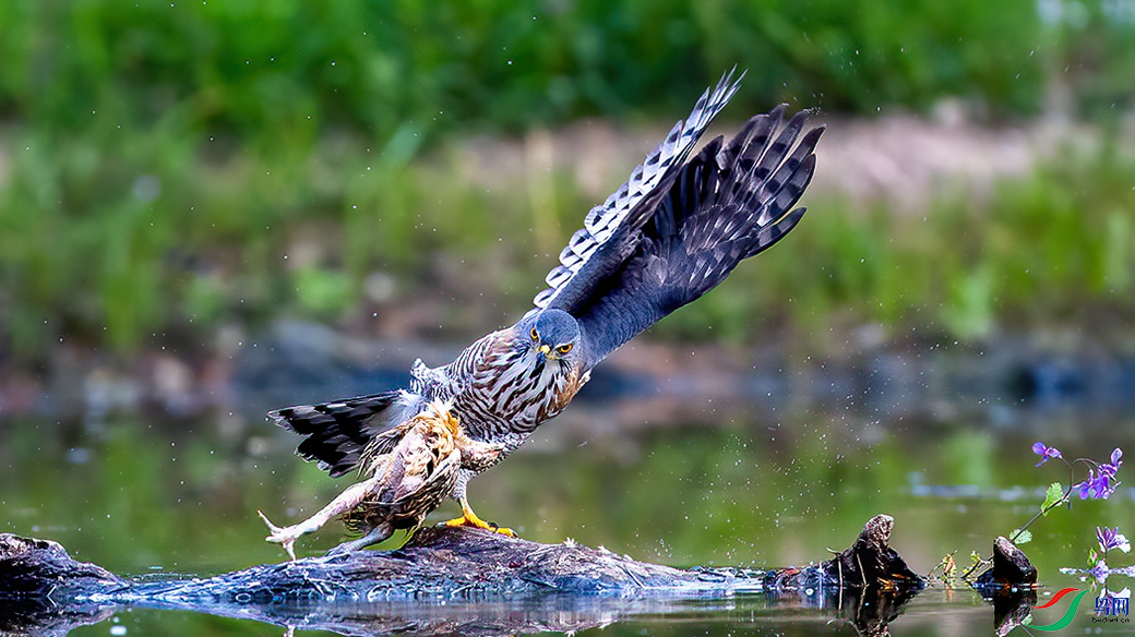 DSC_5429.png