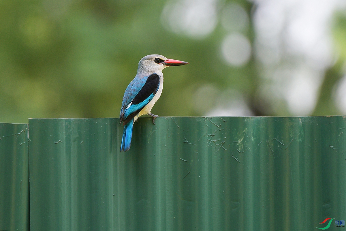 DSC_0406.JPG