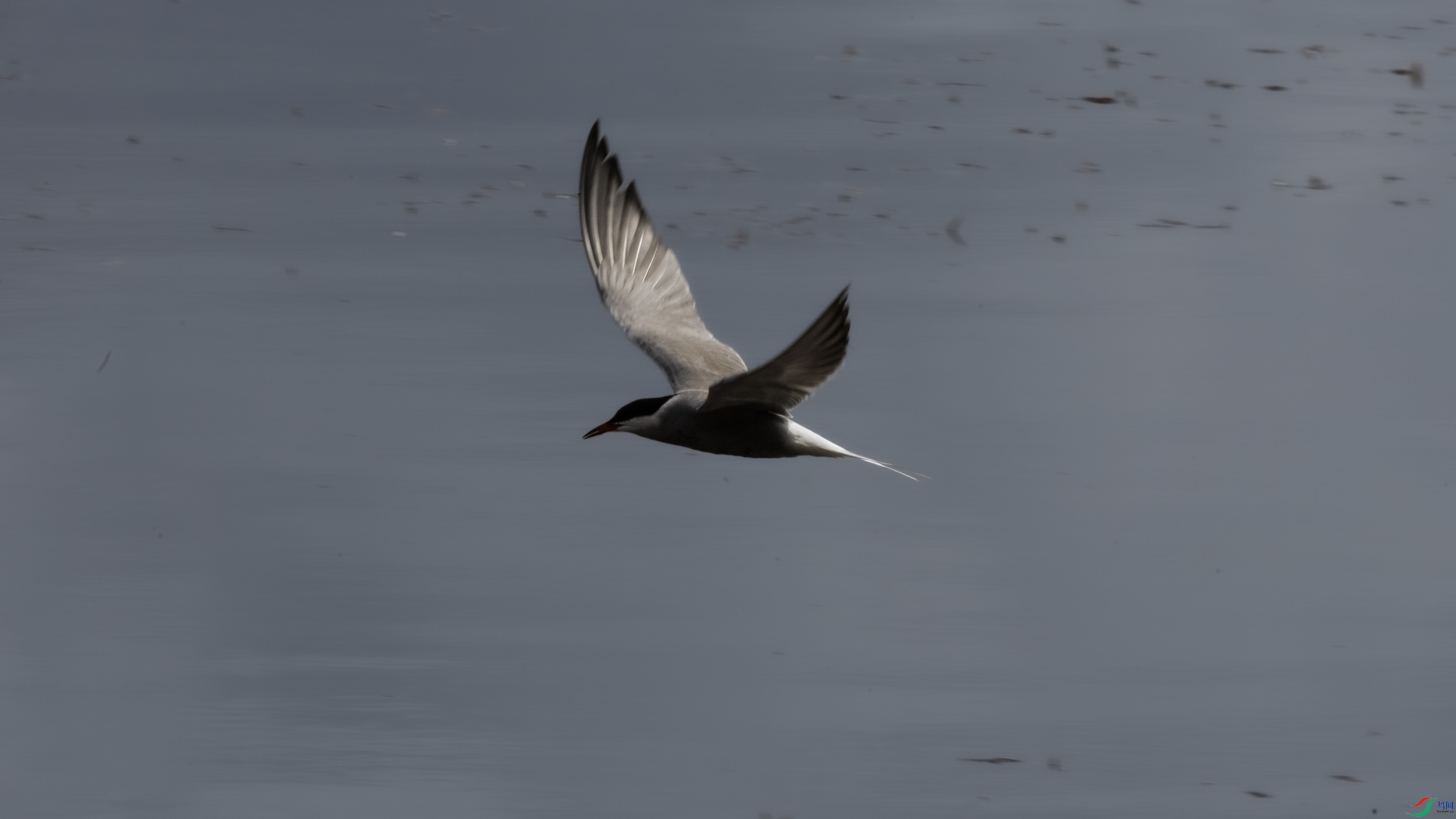 7X5A9805 ����4444.jpg