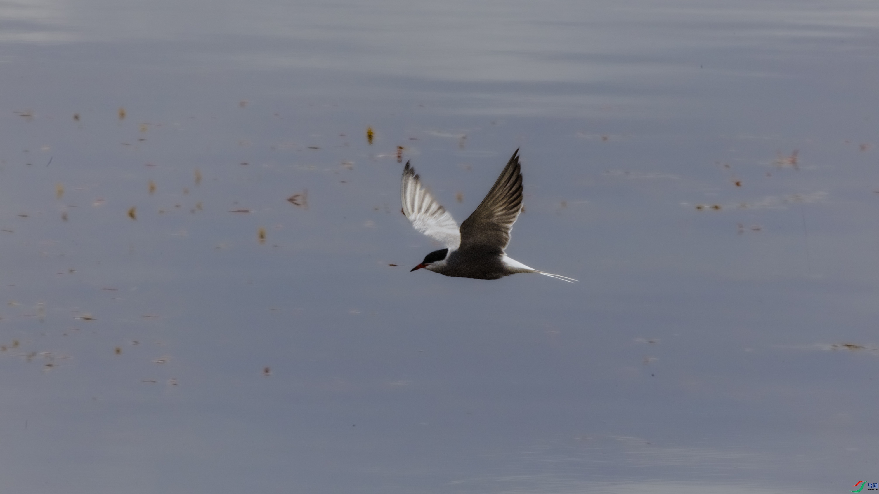 7X5A9812 ����444.jpg