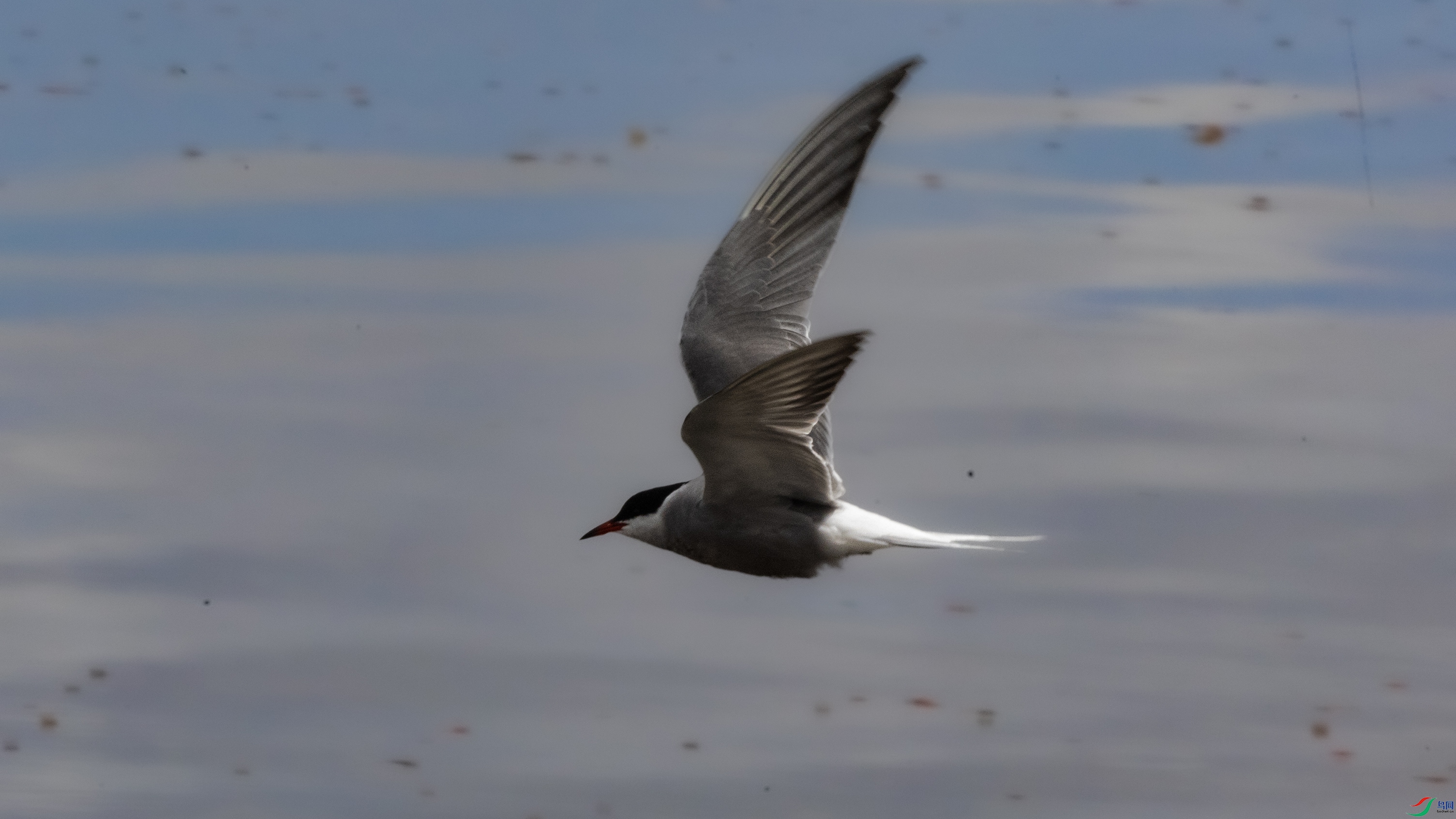 7X5A9822 ����444.jpg