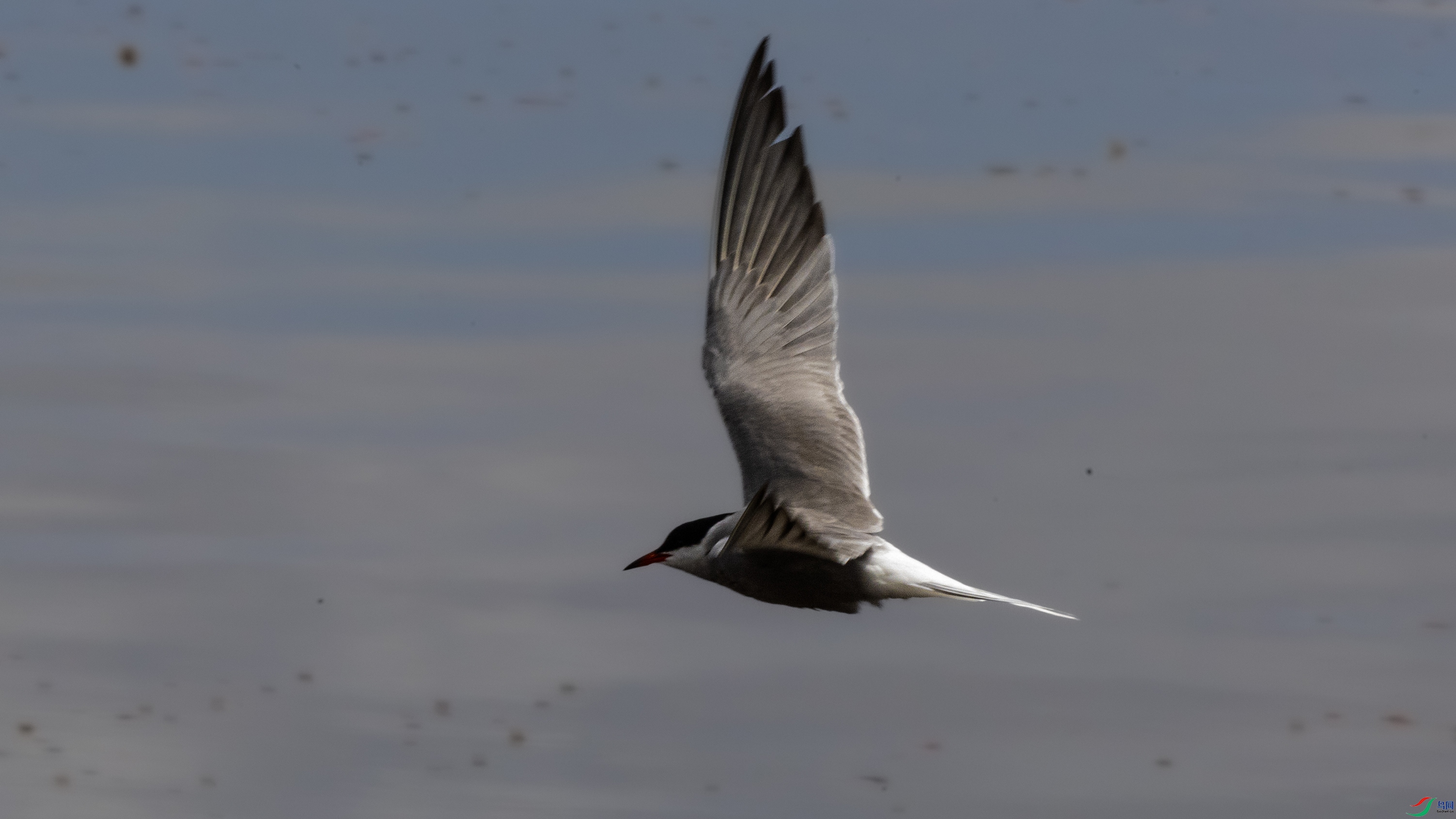 7X5A9823 ����444.jpg