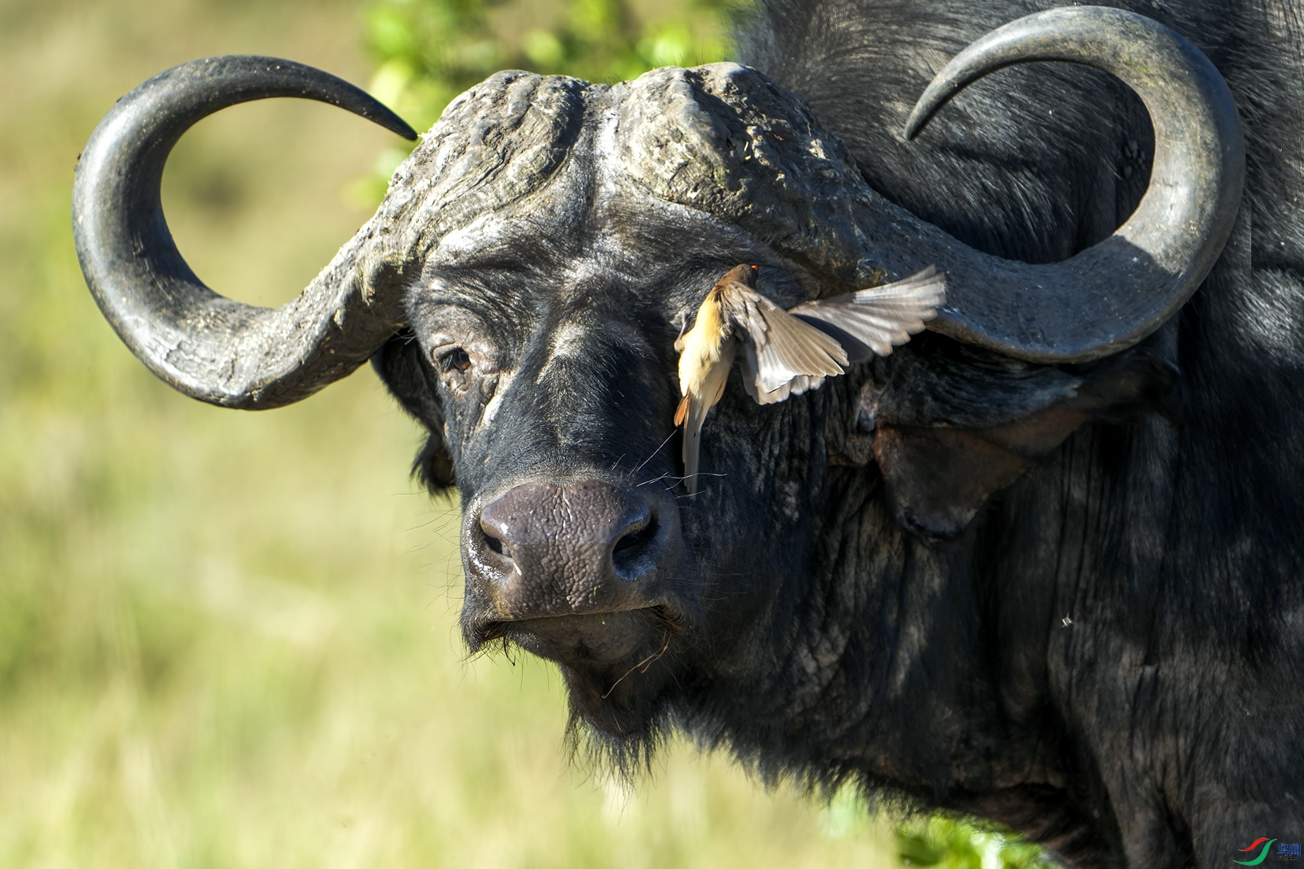 DSC_4165 ����.jpg