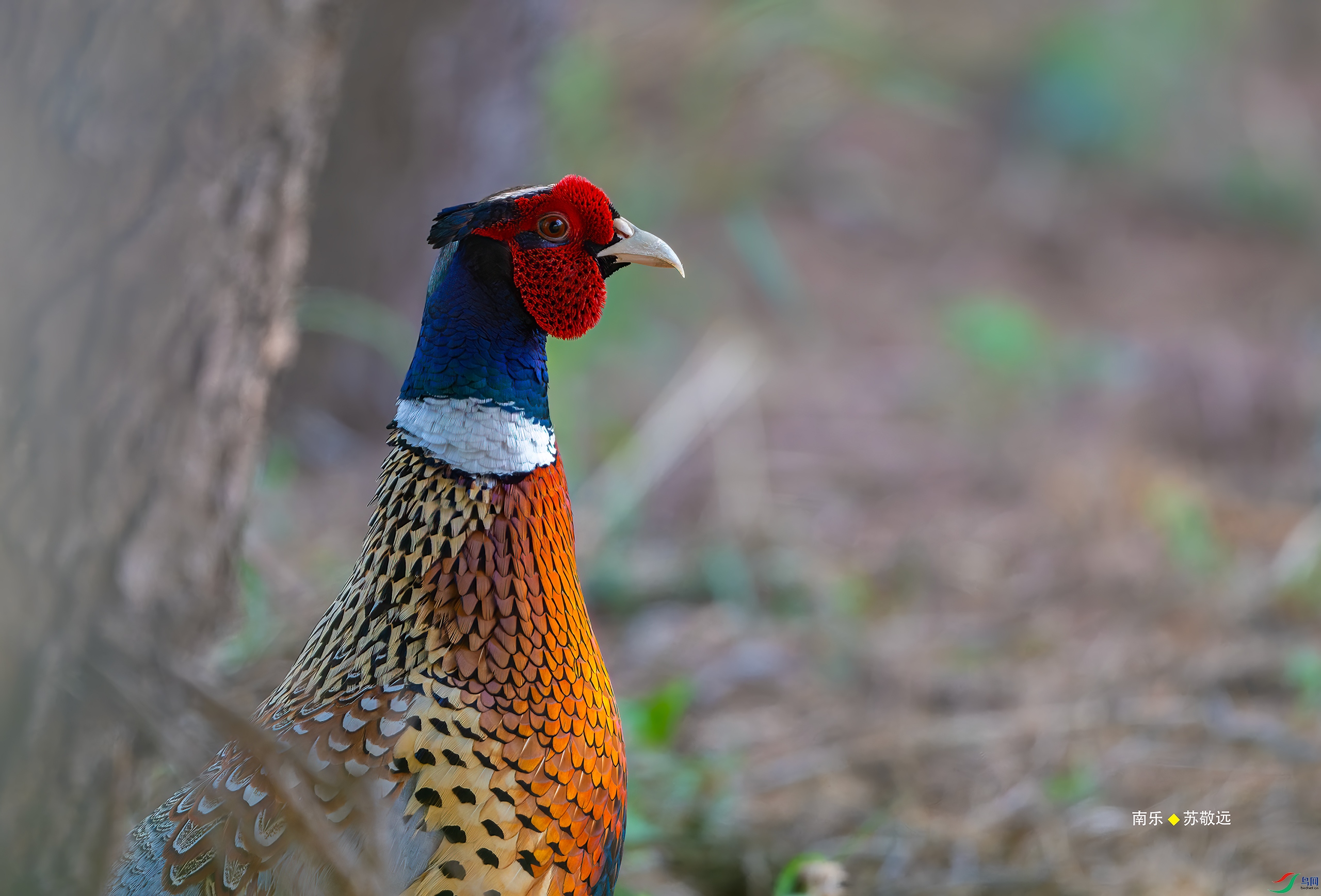 _DSC2153-DxO_С.jpg
